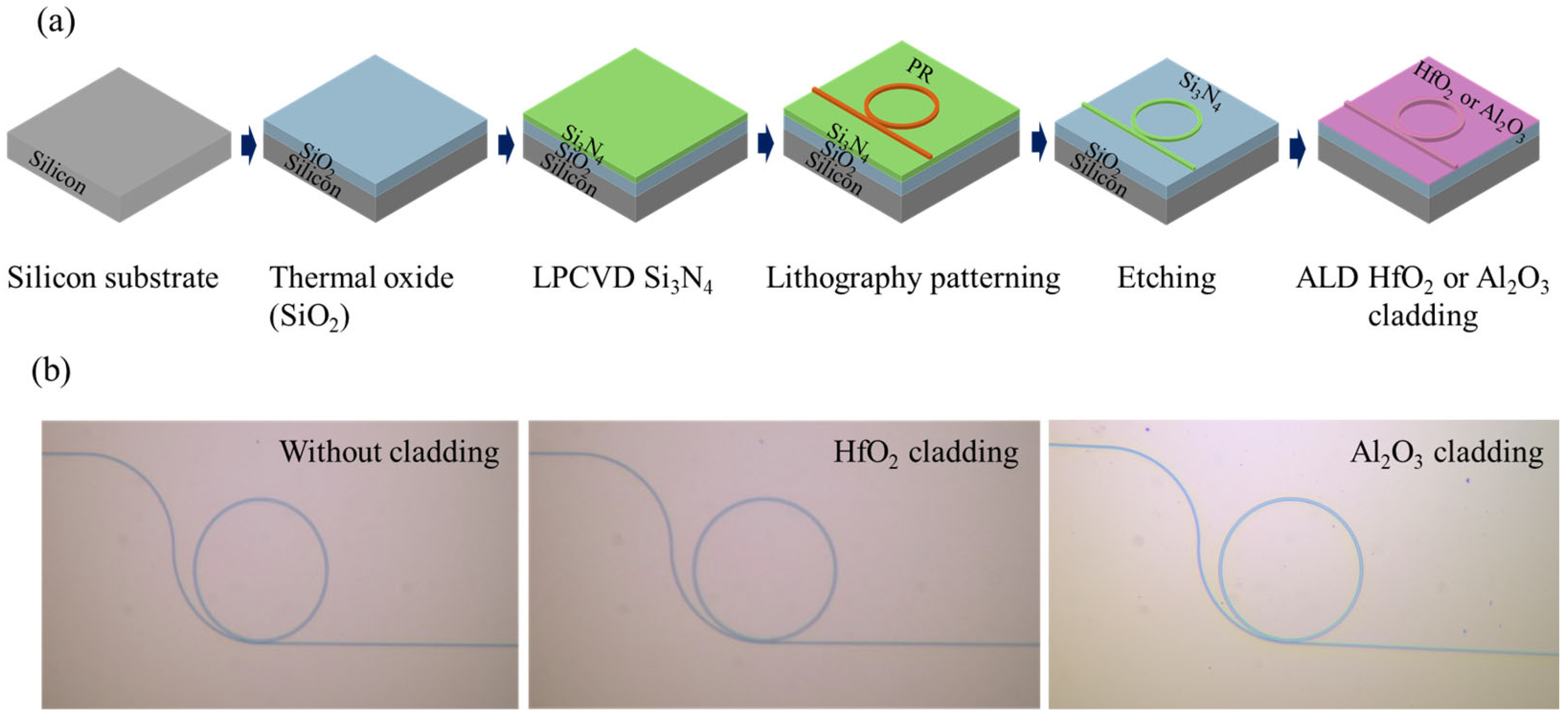 Photonics 10 00428 g002
