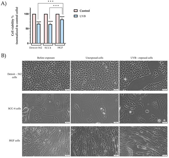 In Vitro Assessment of the Impact of Ultraviolet B Radiation on Oral ...