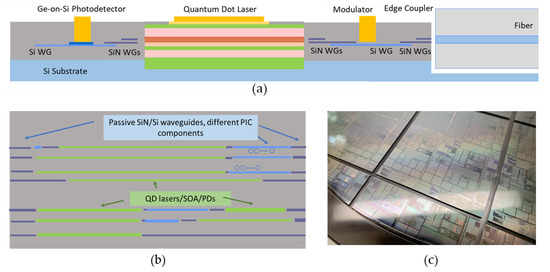 Quantum Dot Lasers Directly Grown on 300 mm Si Wafers: Planar and In-Pocket