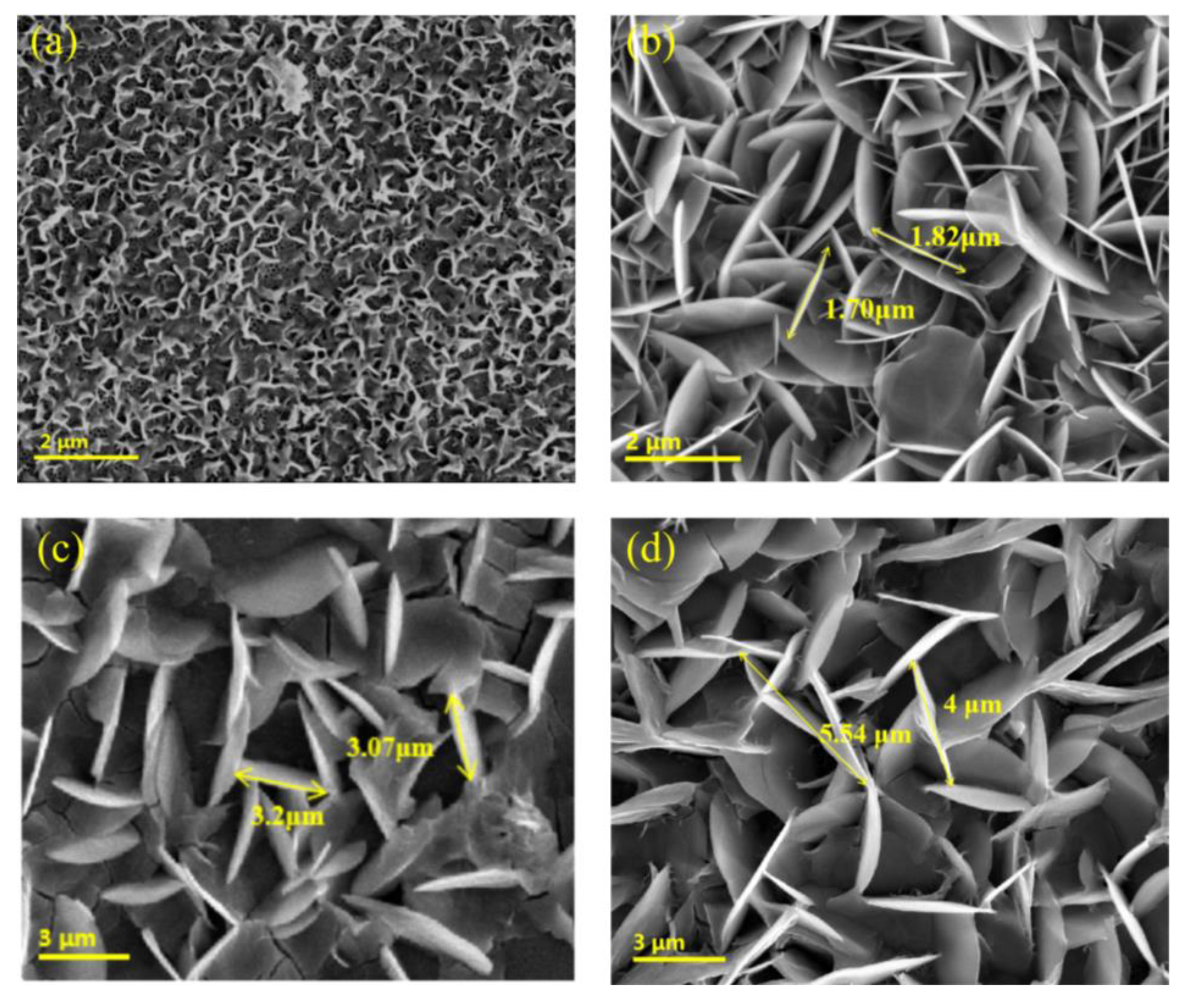 Photonics 10 00552 g007 Photonics 10 00552 g007