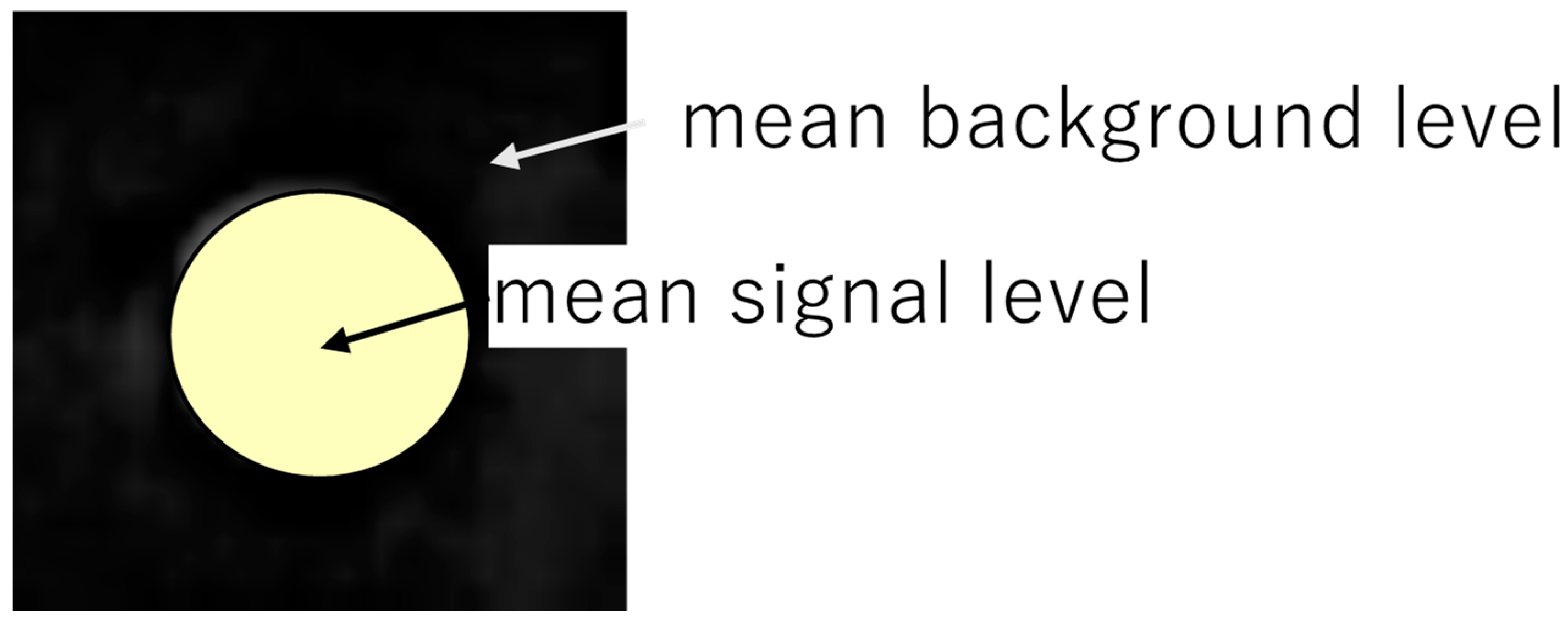 Photonics 10 00553 g006