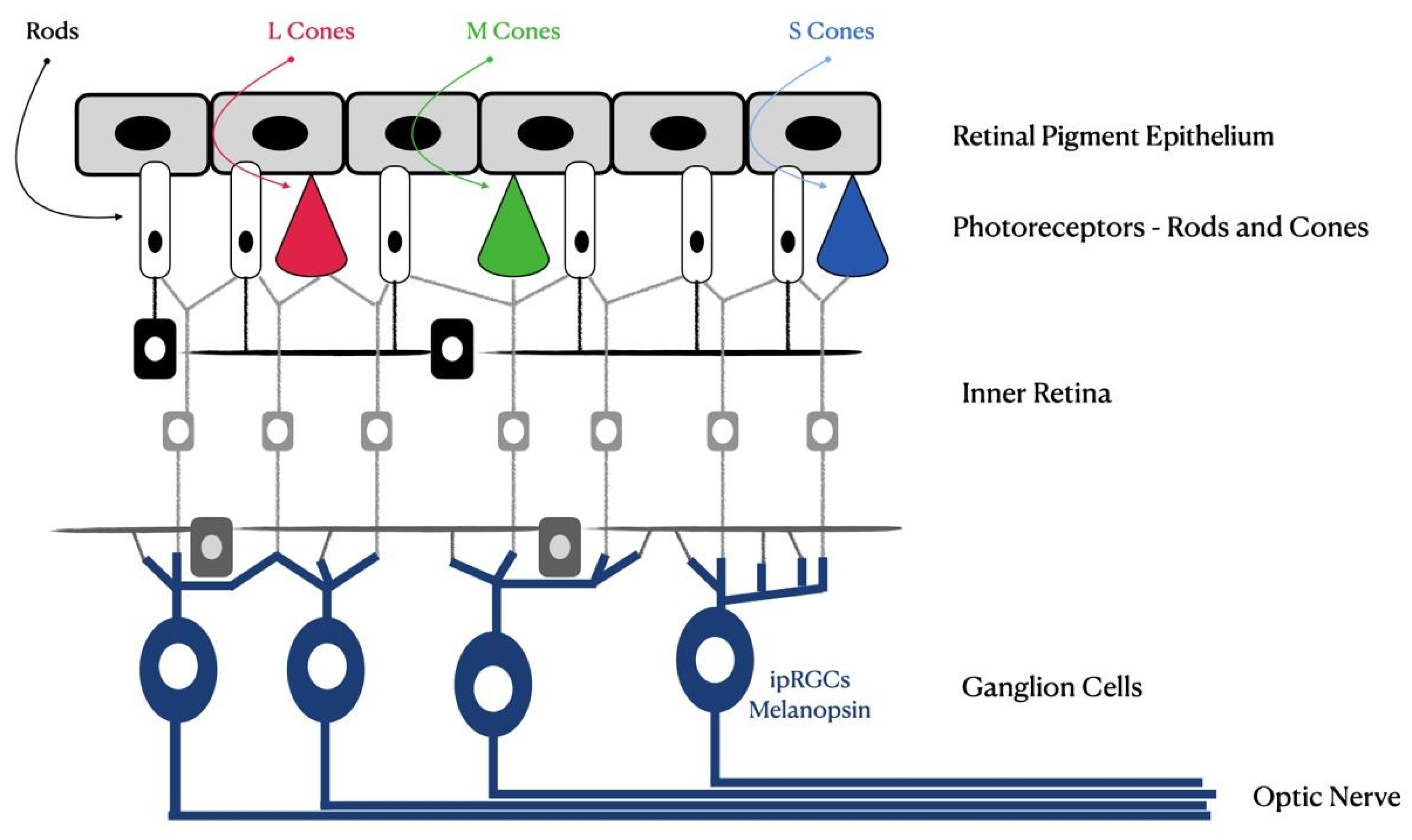 Photonics 10 00560 g001 Photonics 10 00560 g001