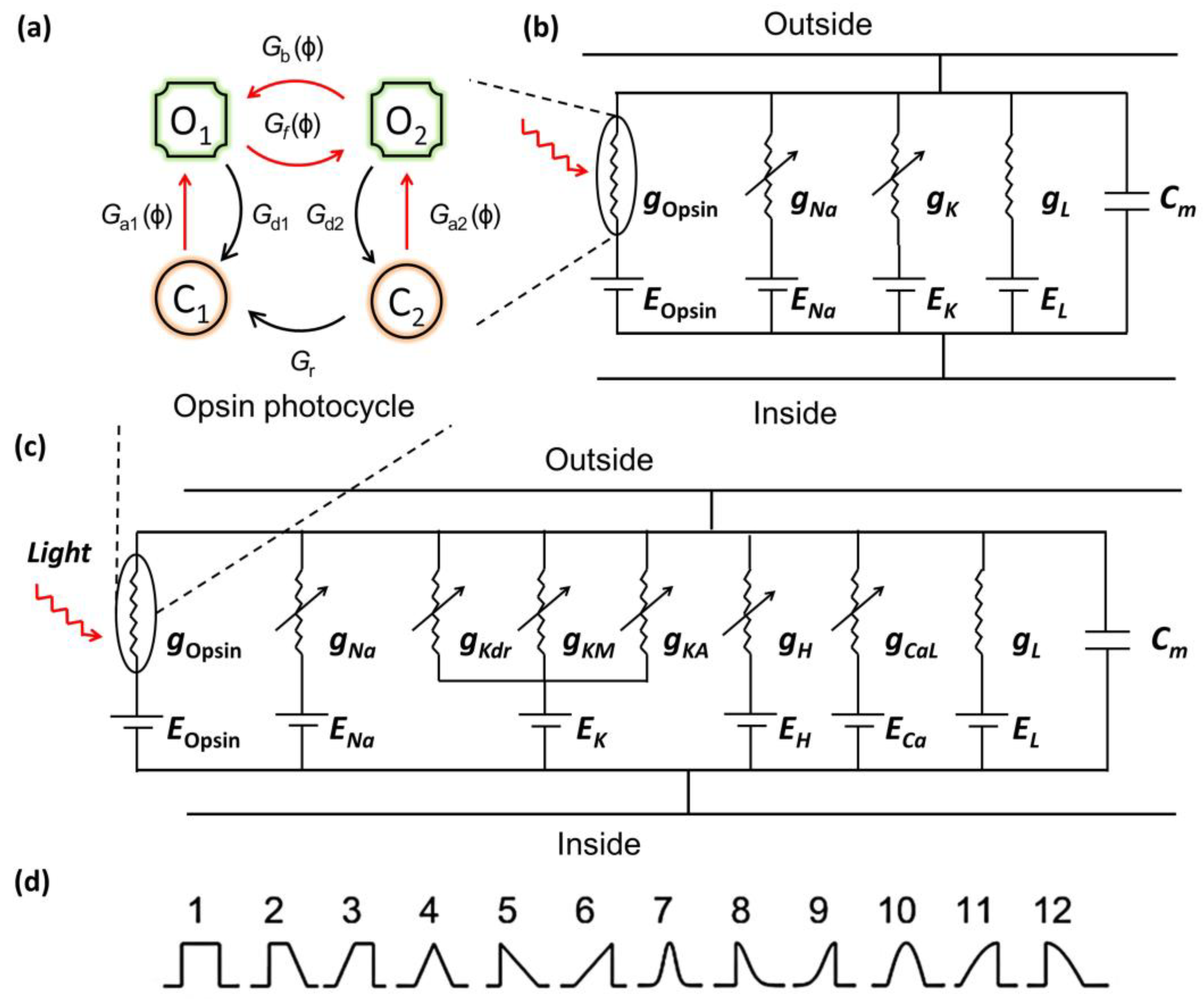 Photonics 10 00571 g001 Photonics 10 00571 g001