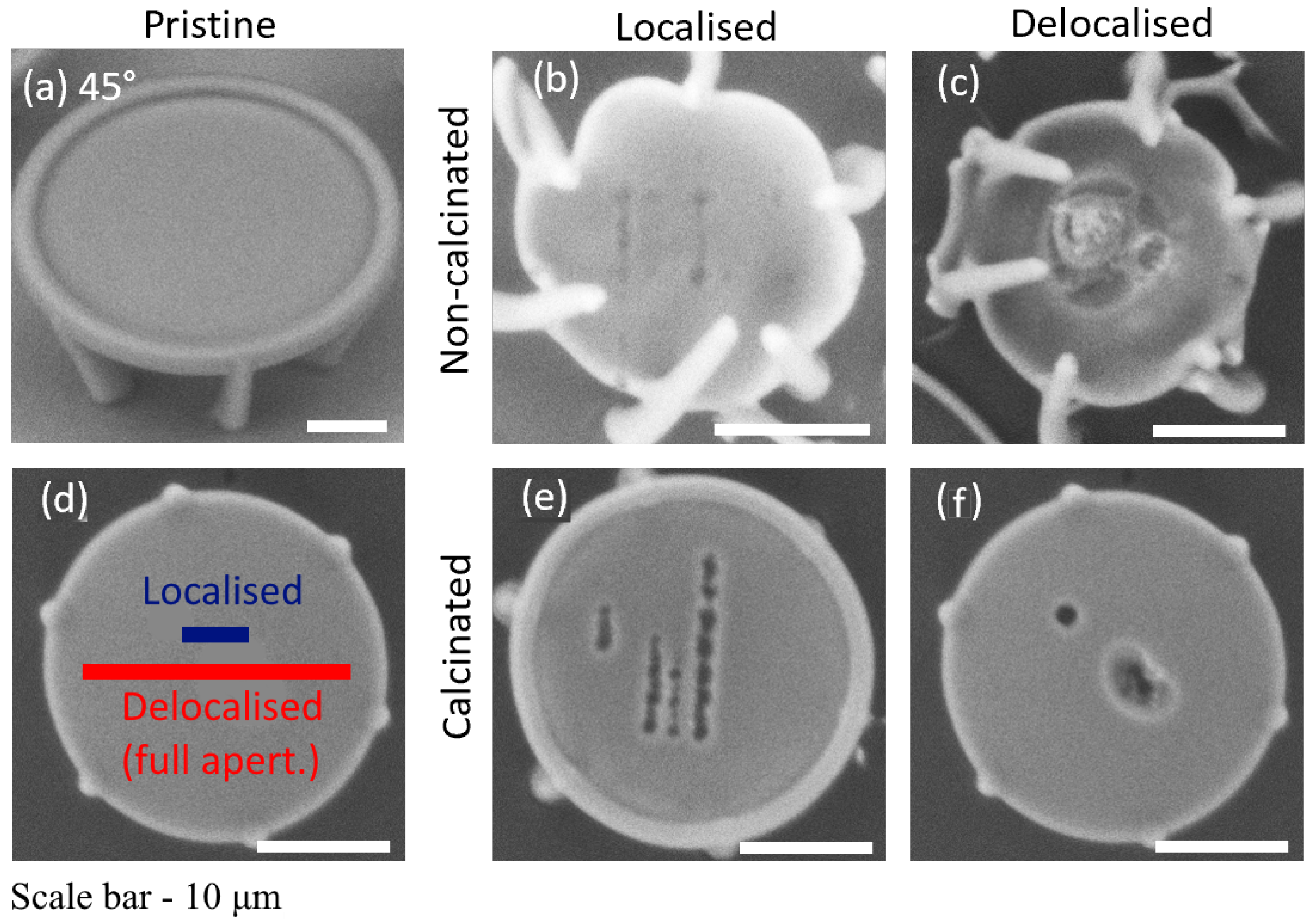 Photonics 10 00597 g003 Photonics 10 00597 g003
