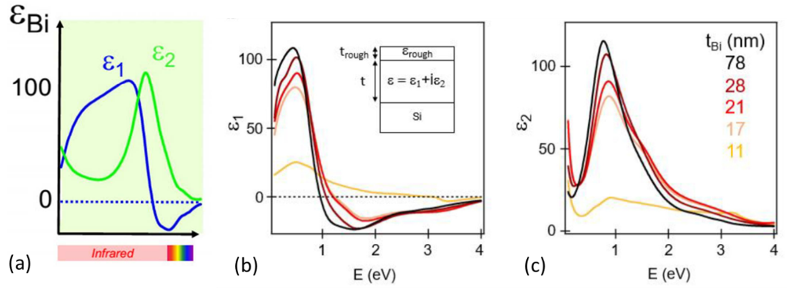 Photonics 10 00602 g003