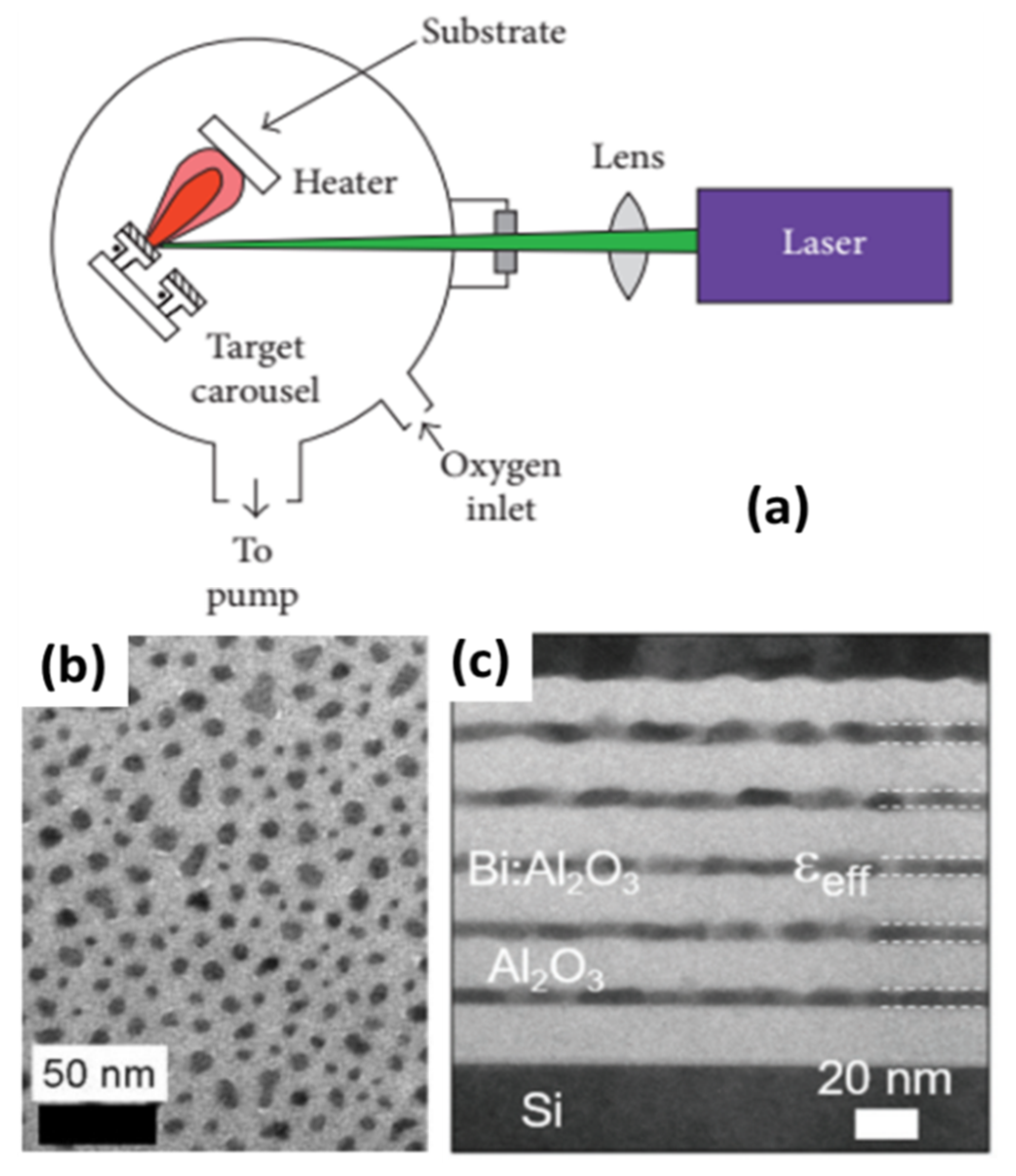 Photonics 10 00602 g005