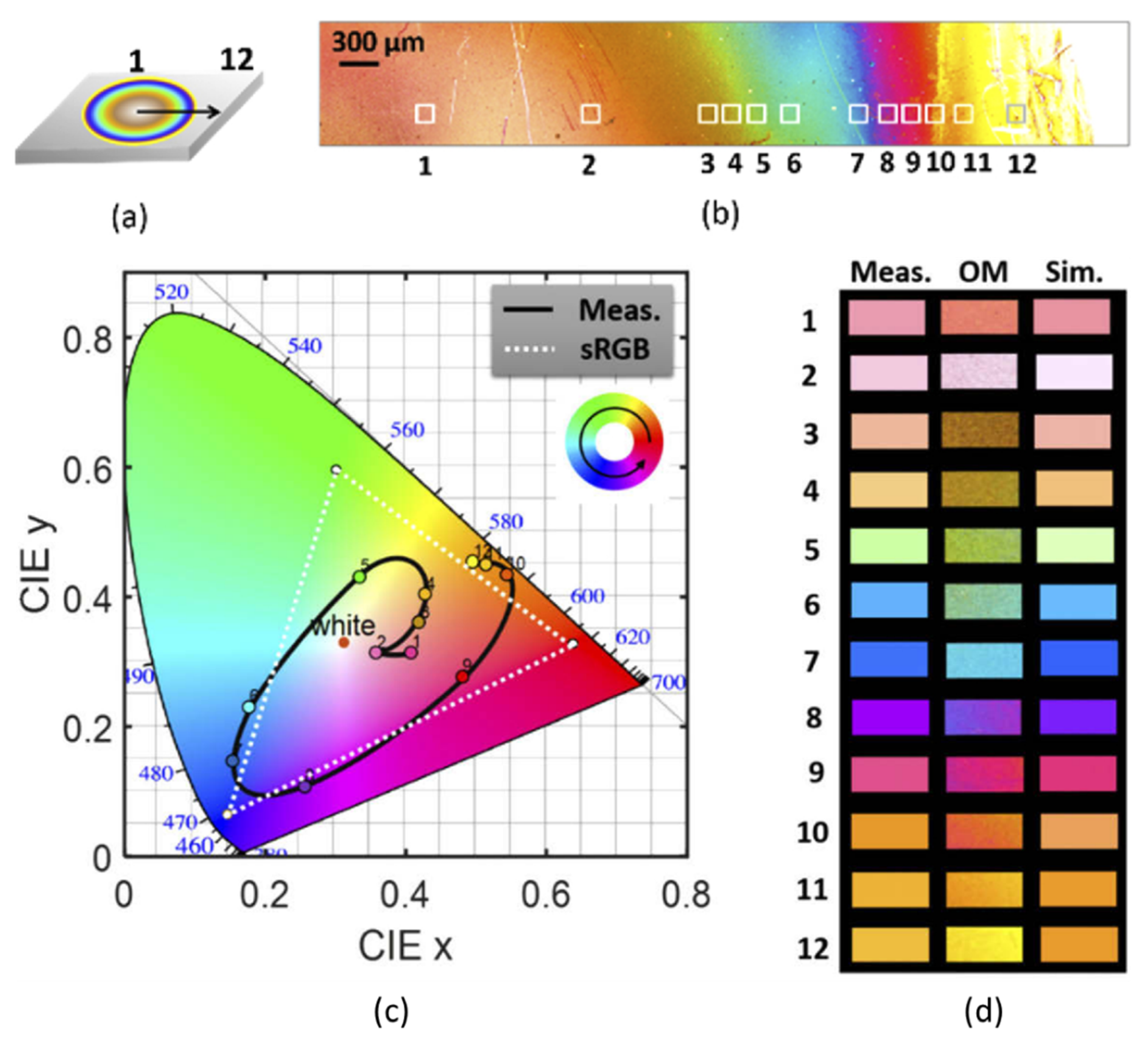 Photonics 10 00602 g009