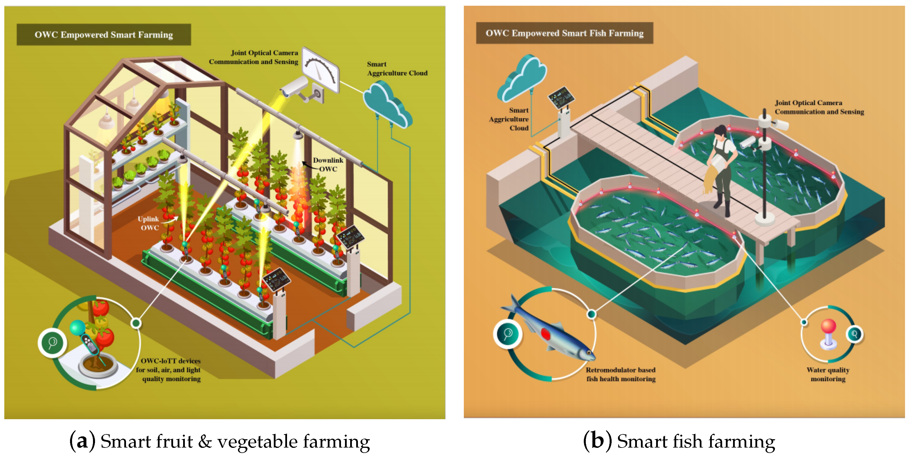 Photonics 10 00608 g009