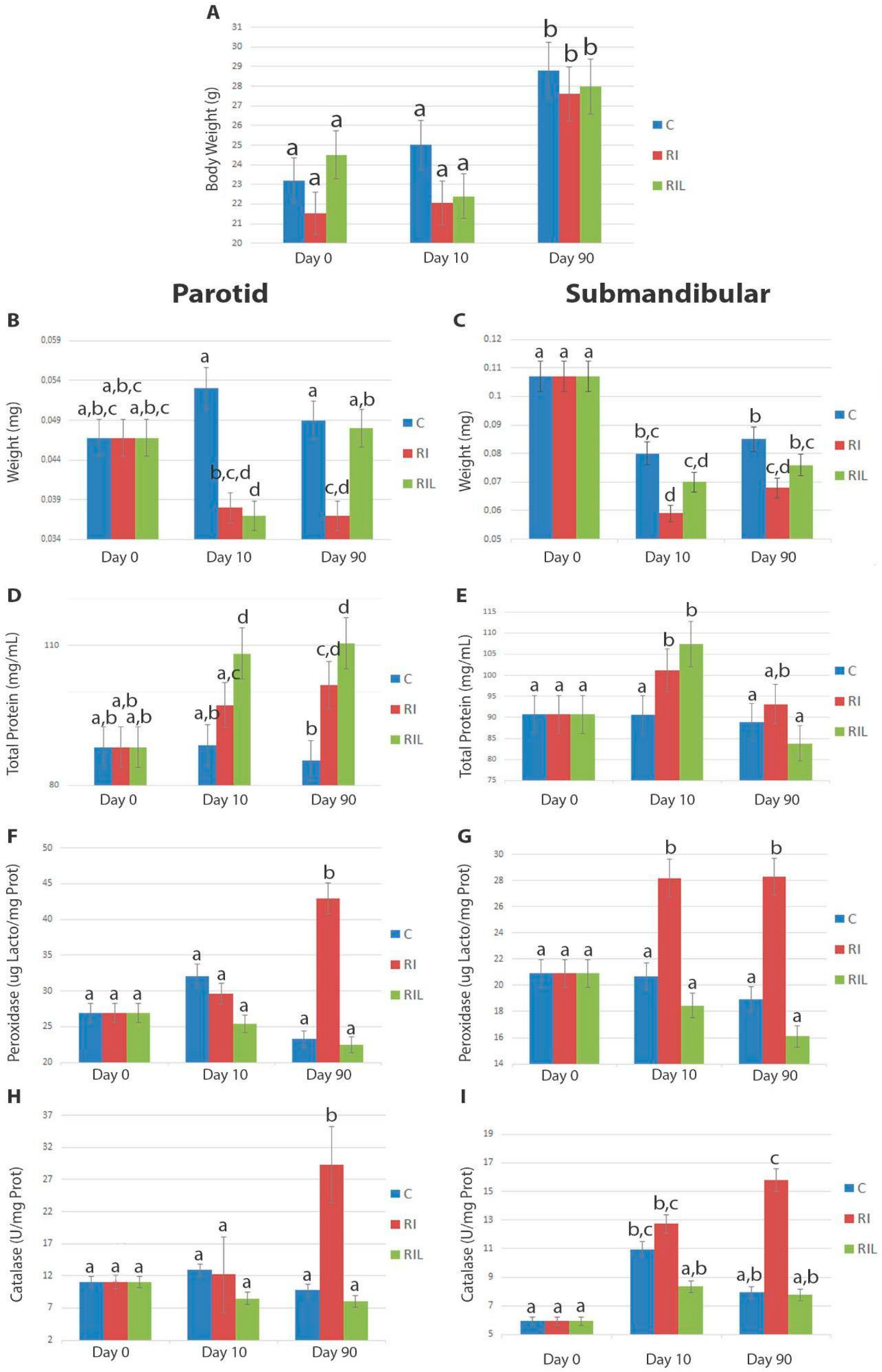 Photonics 10 00611 g002 Photonics 10 00611 g002