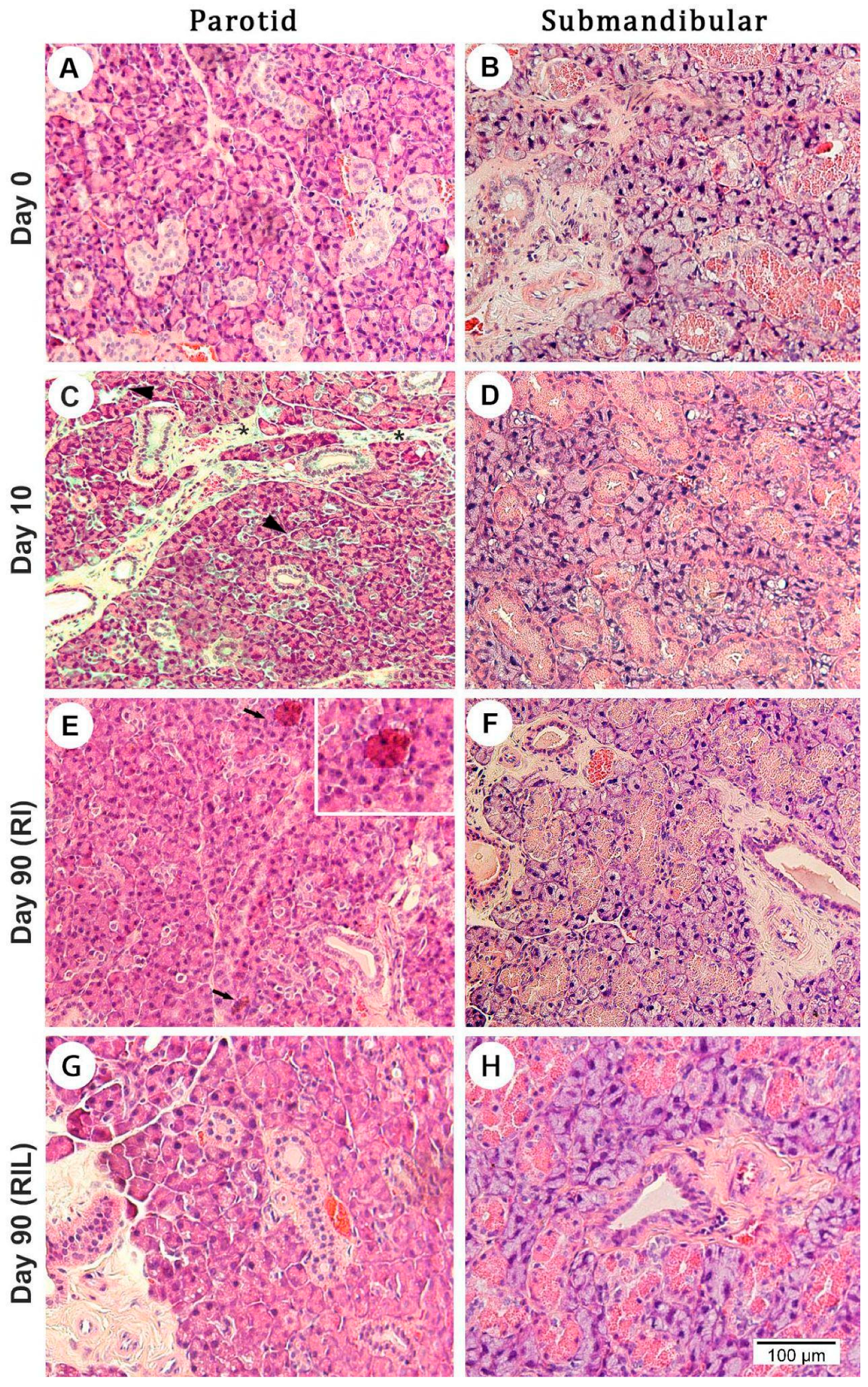 Photonics 10 00611 g005 Photonics 10 00611 g005