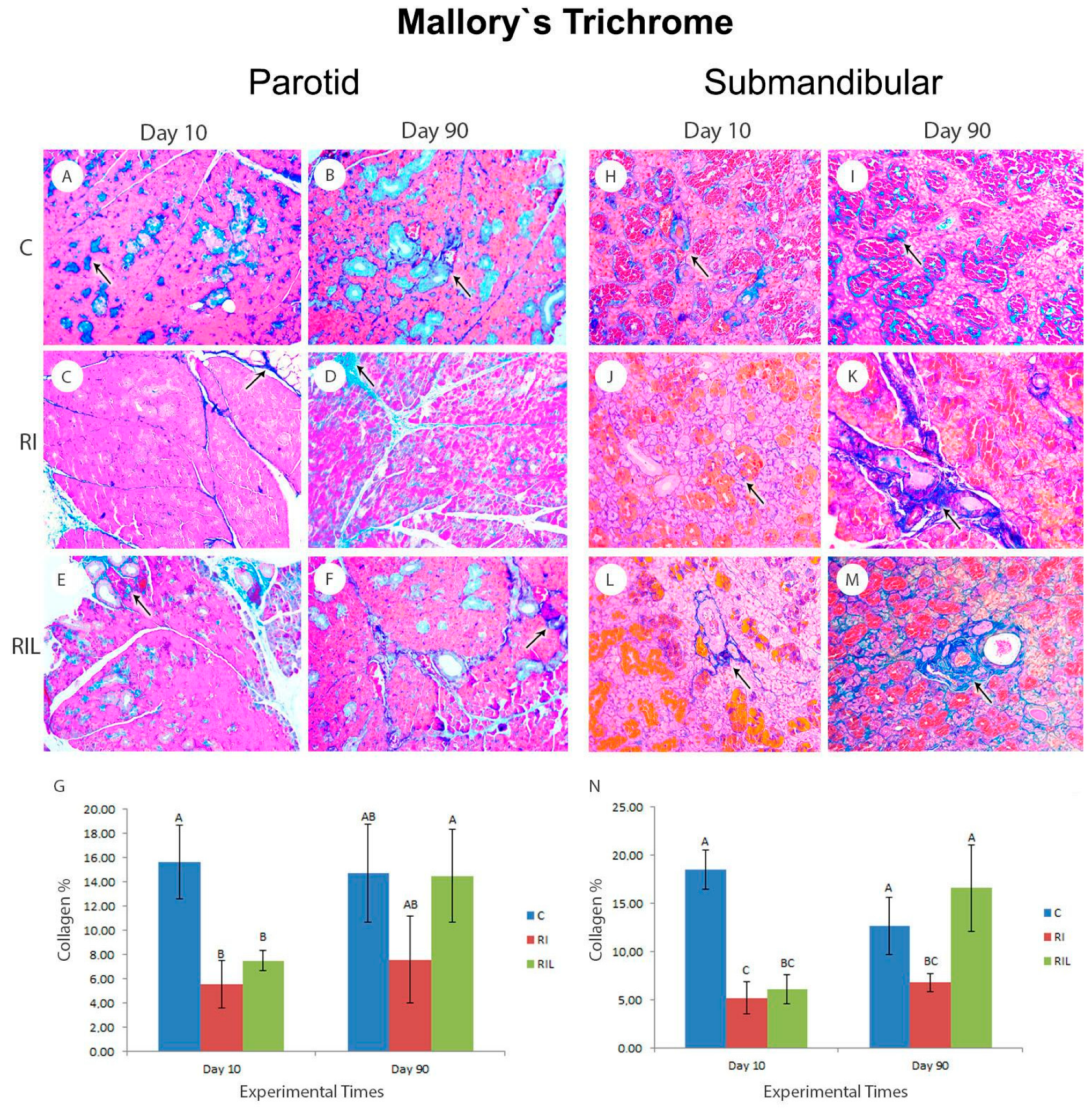 Photonics 10 00611 g007 Photonics 10 00611 g007