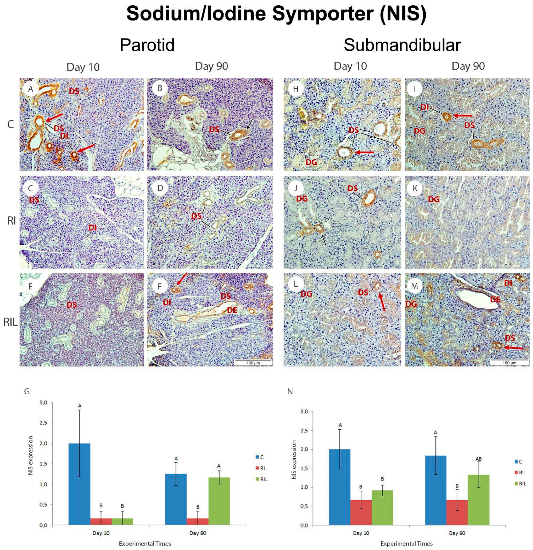 Photonics 10 00611 g008 Photonics 10 00611 g008