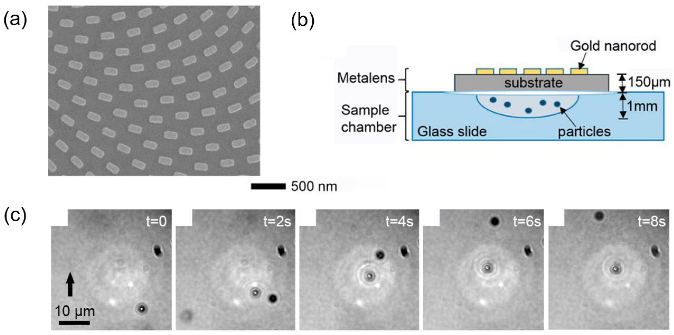 Photonics 10 00623 g002