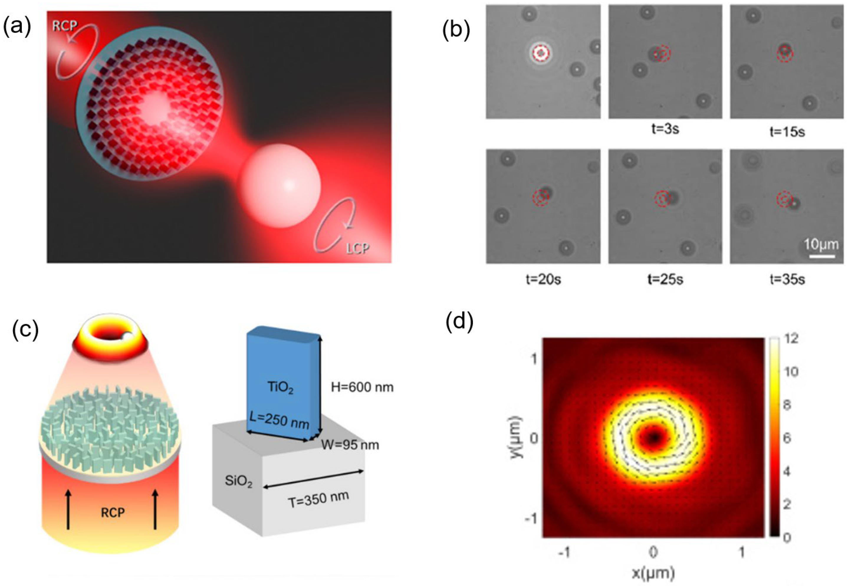 Photonics 10 00623 g004
