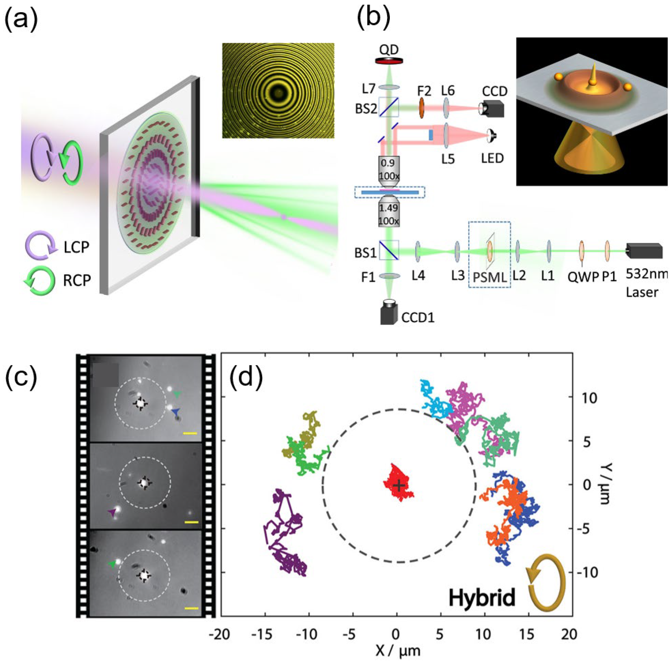 Photonics 10 00623 g006