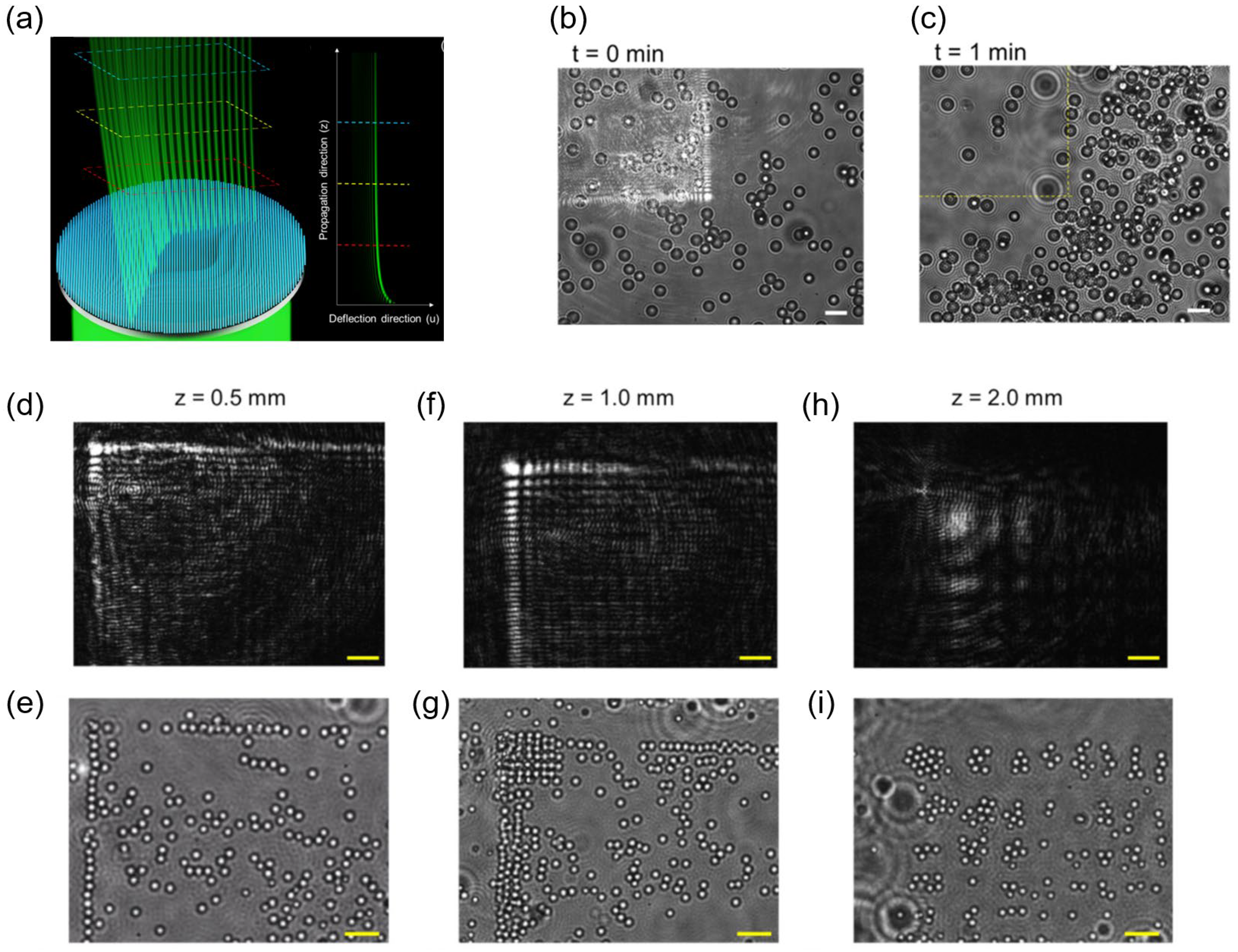 Photonics 10 00623 g008