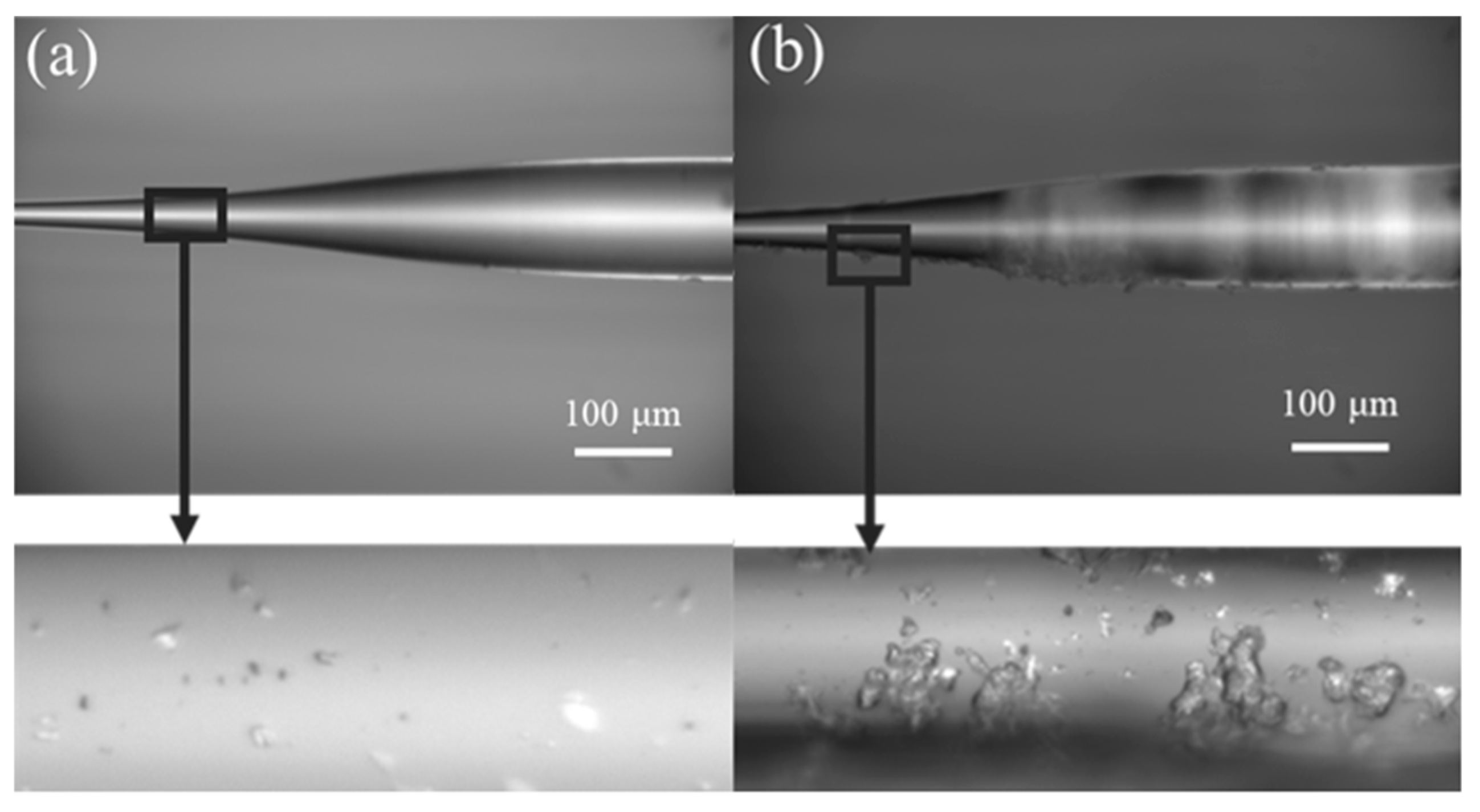 Photonics 10 00656 g002
