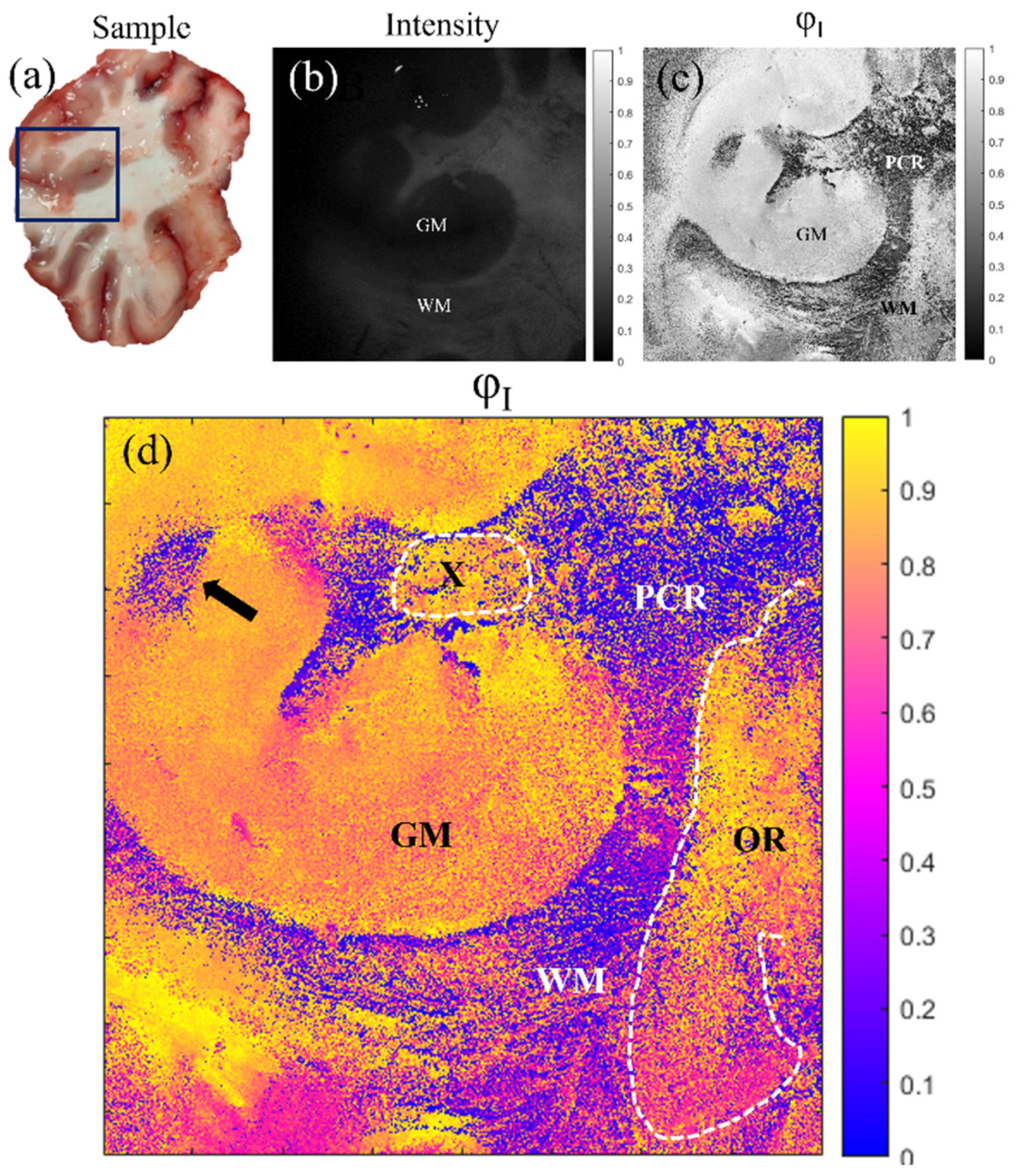 Photonics 10 00669 g005 Photonics 10 00669 g005