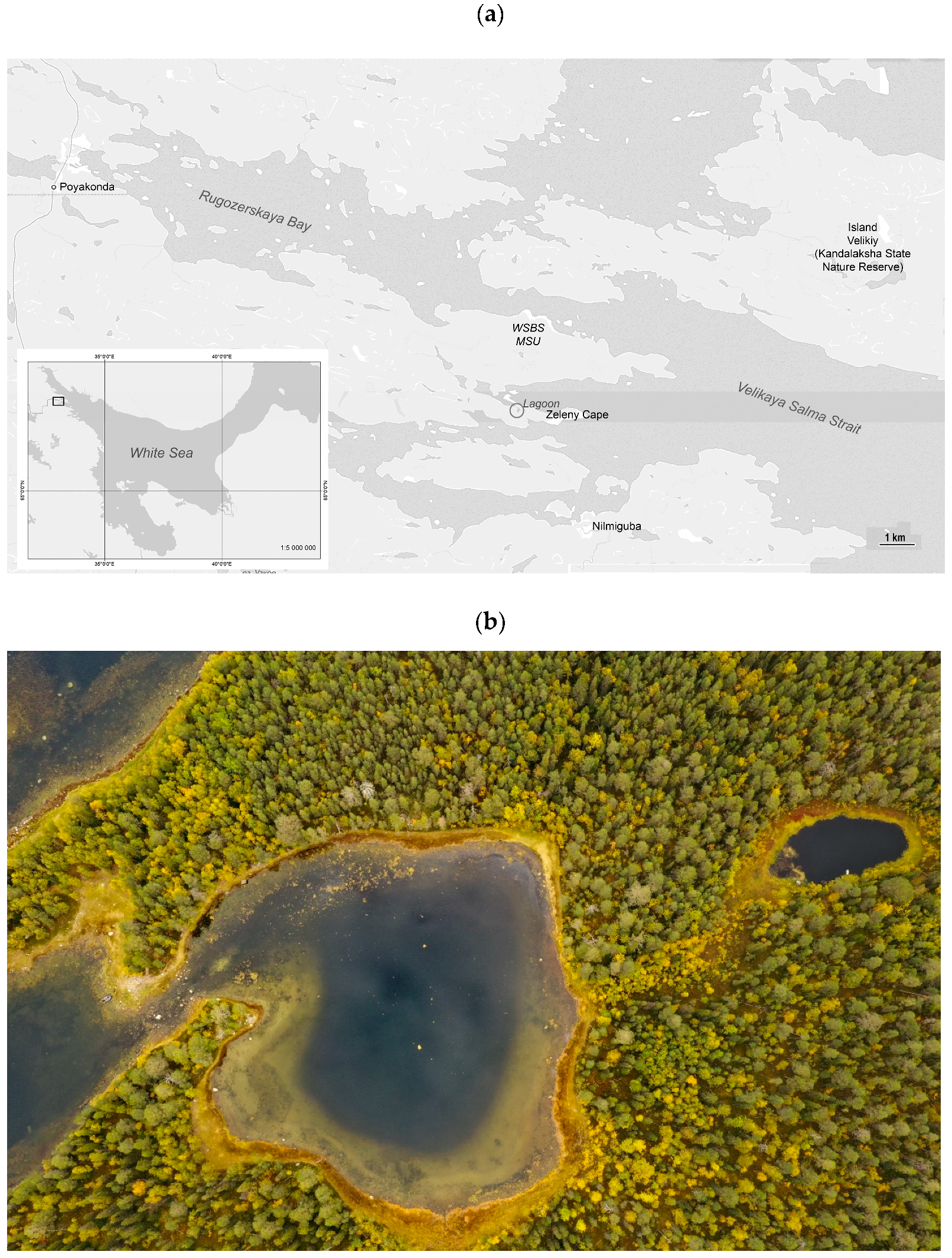 Photonics 10 00672 g001