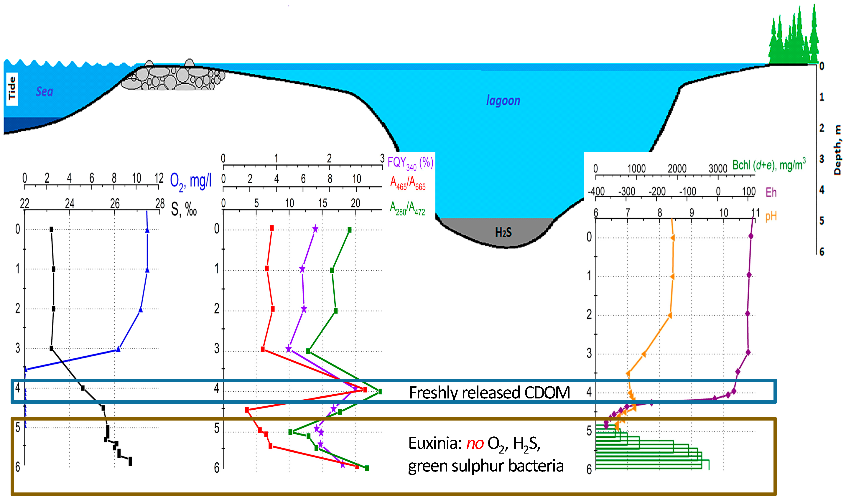 Photonics 10 00672 g010