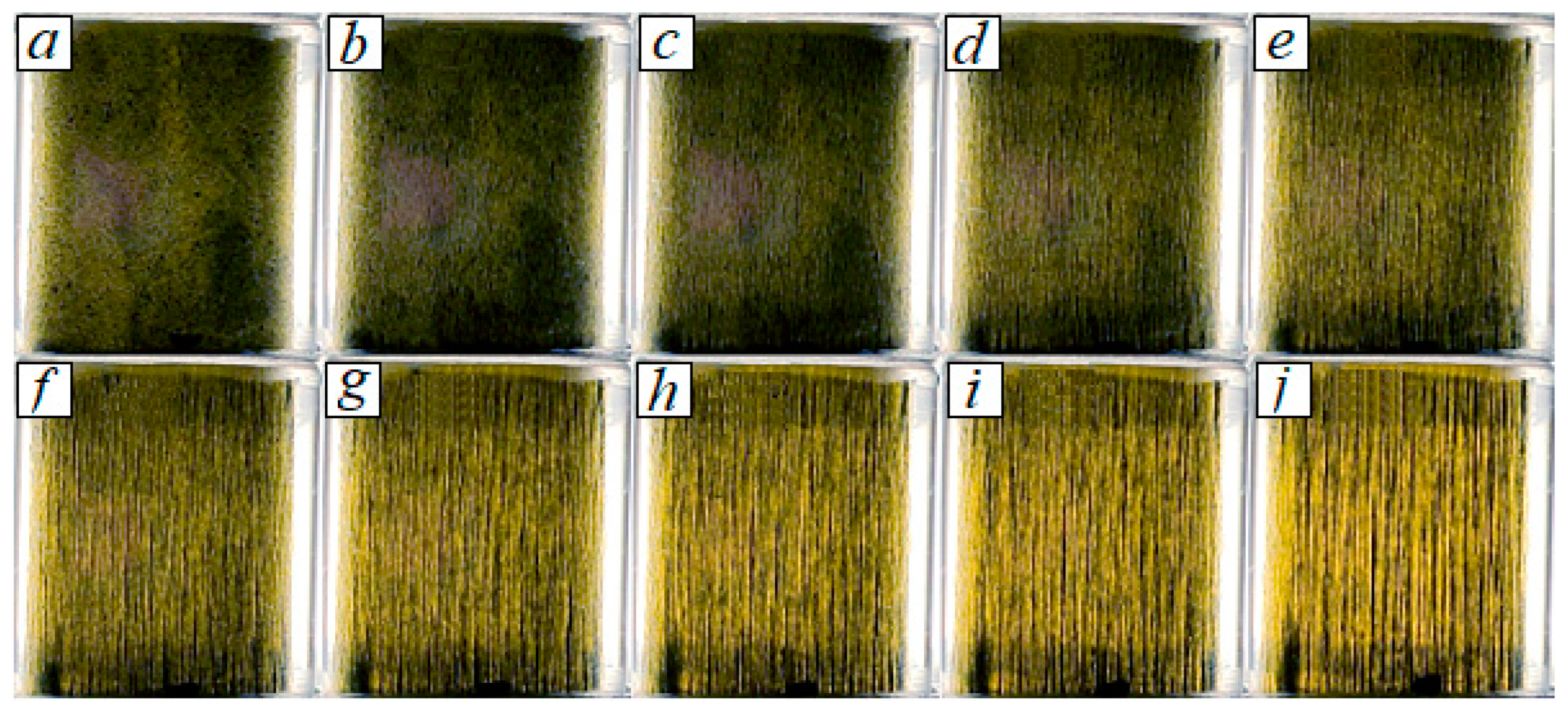 Photonics 10 00675 g002