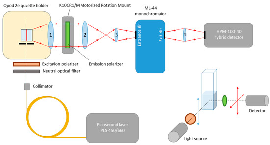 The Role of the Photon Counting Loss Effect in Time-Resolved