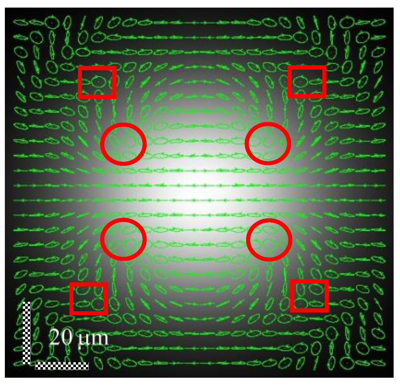 Photonics 10 00684 g001