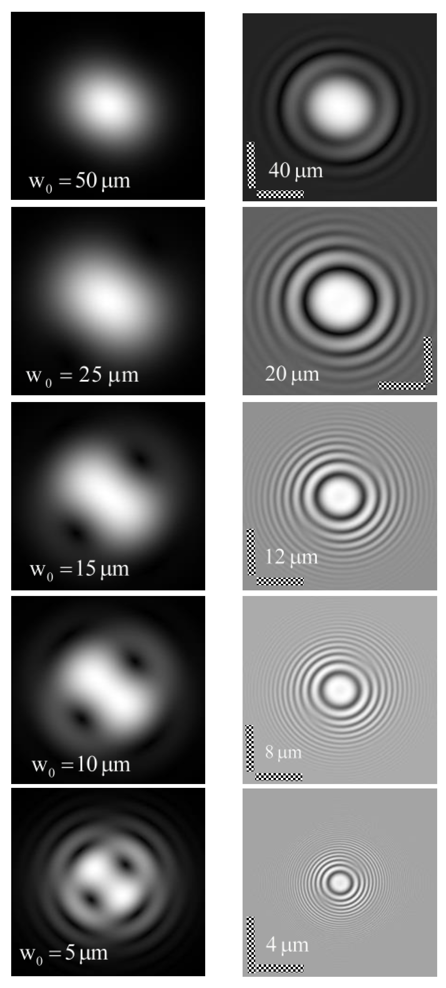 Photonics 10 00684 g002