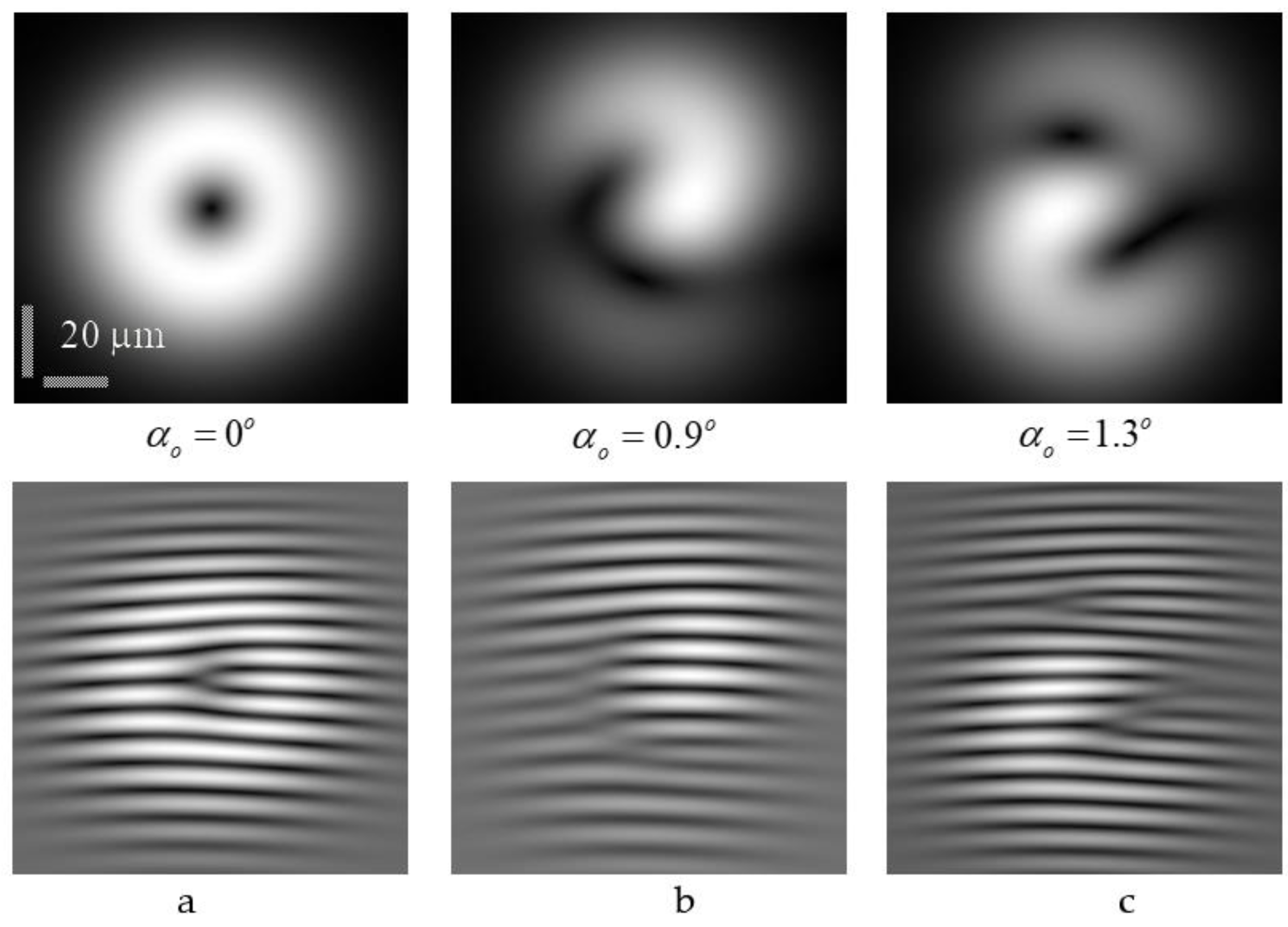 Photonics 10 00684 g007