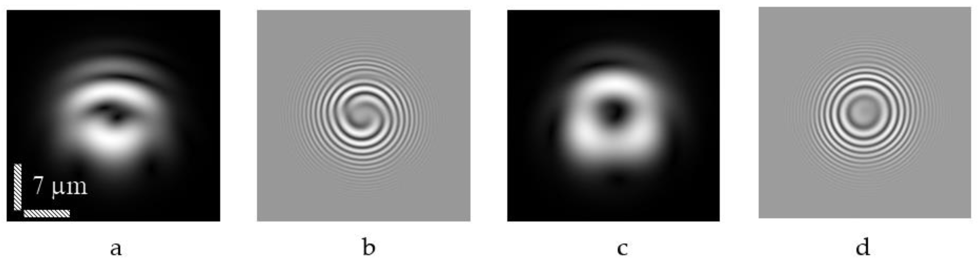 Photonics 10 00684 g011