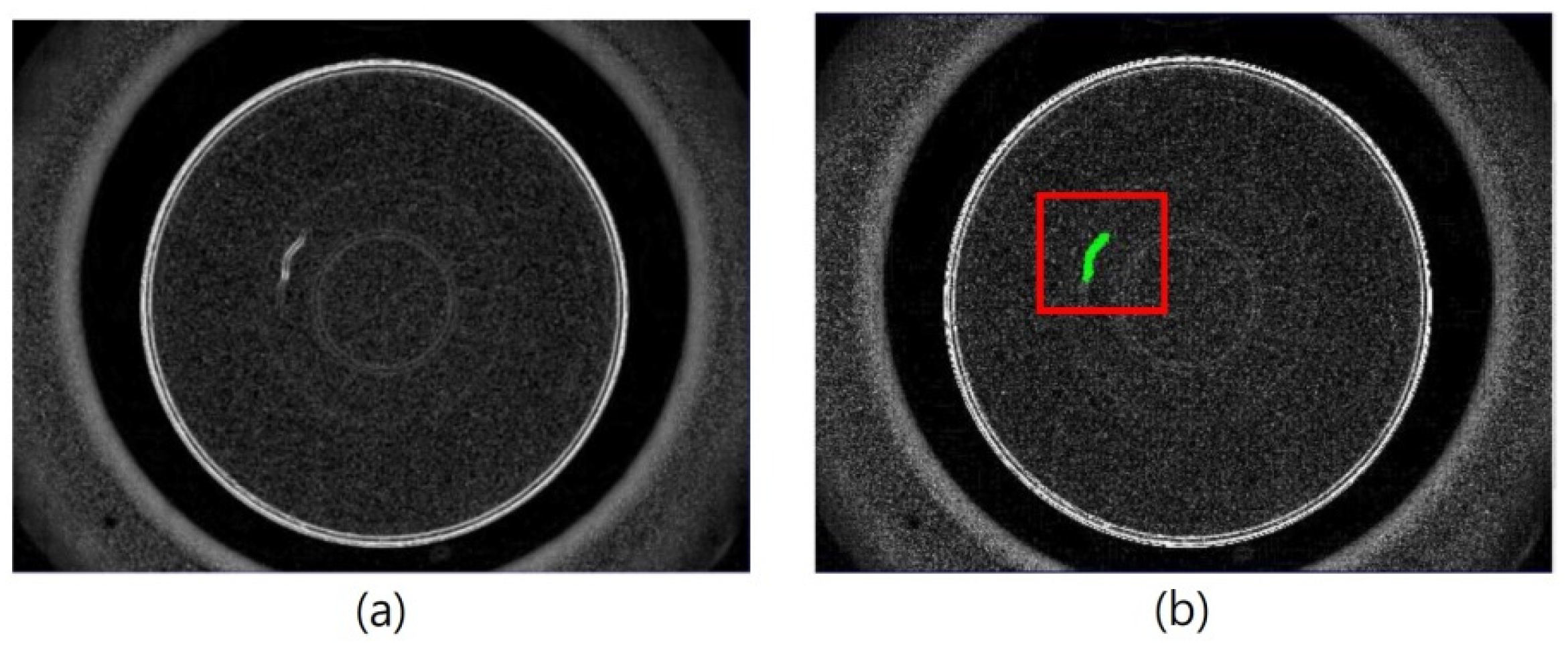 Photonics 10 00686 g012 Photonics 10 00686 g012