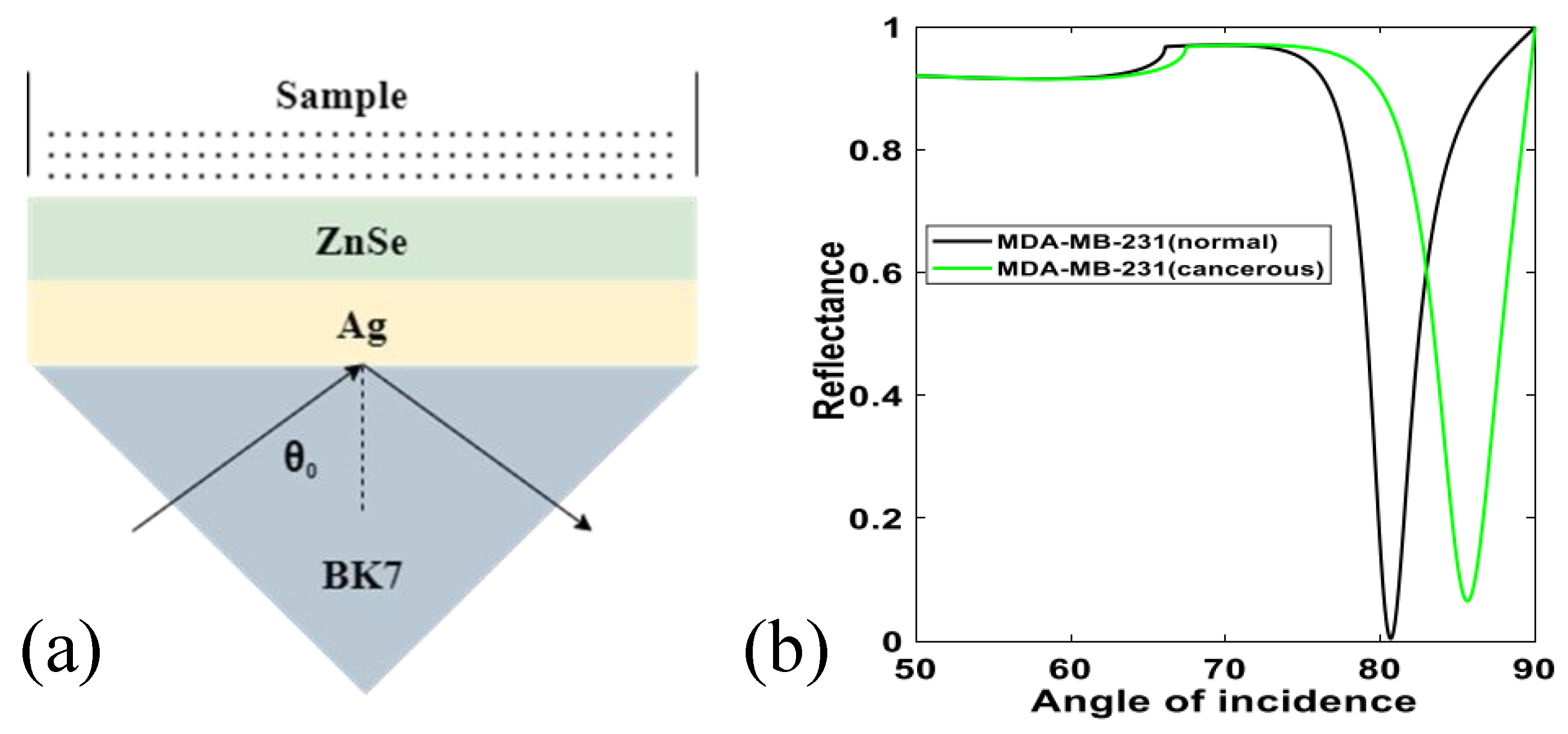 Photonics 10 00698 g003