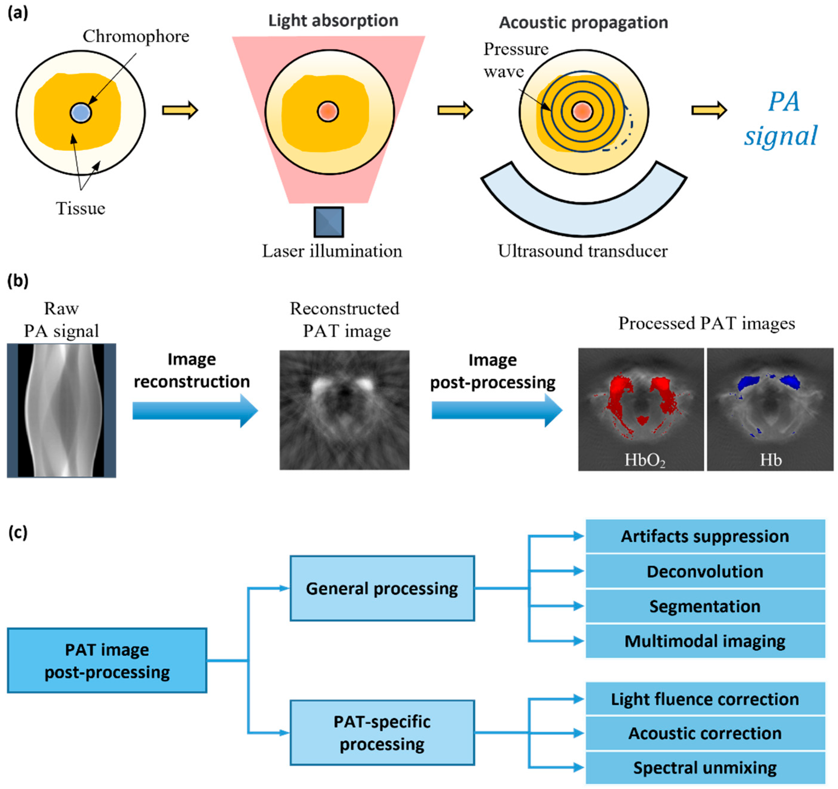 Photonics 10 00707 g001 Photonics 10 00707 g001