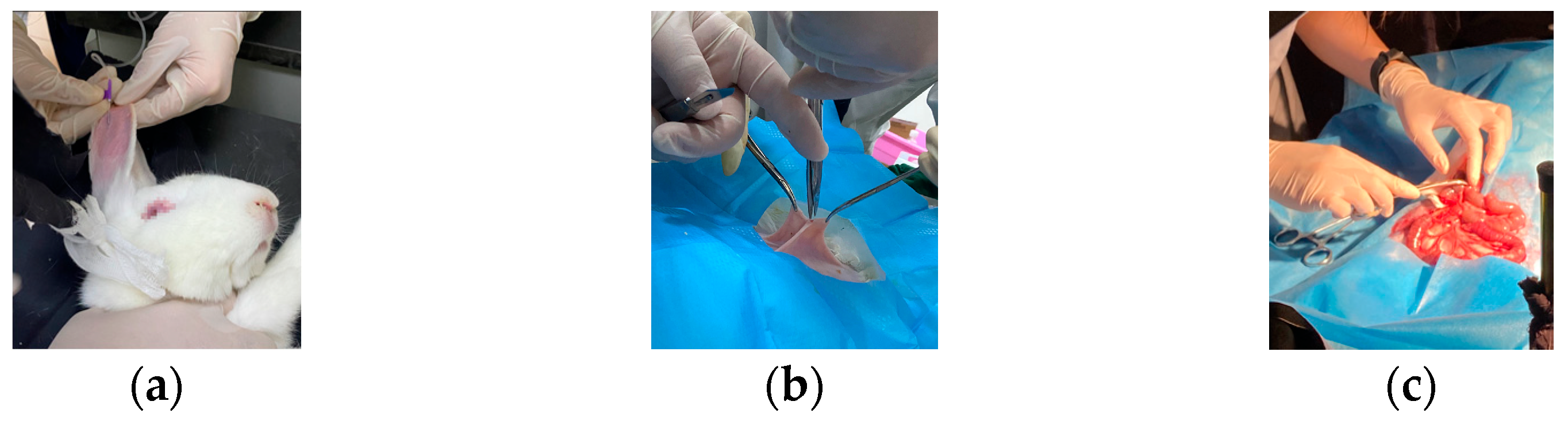 Photonics 10 00708 g002 Photonics 10 00708 g002