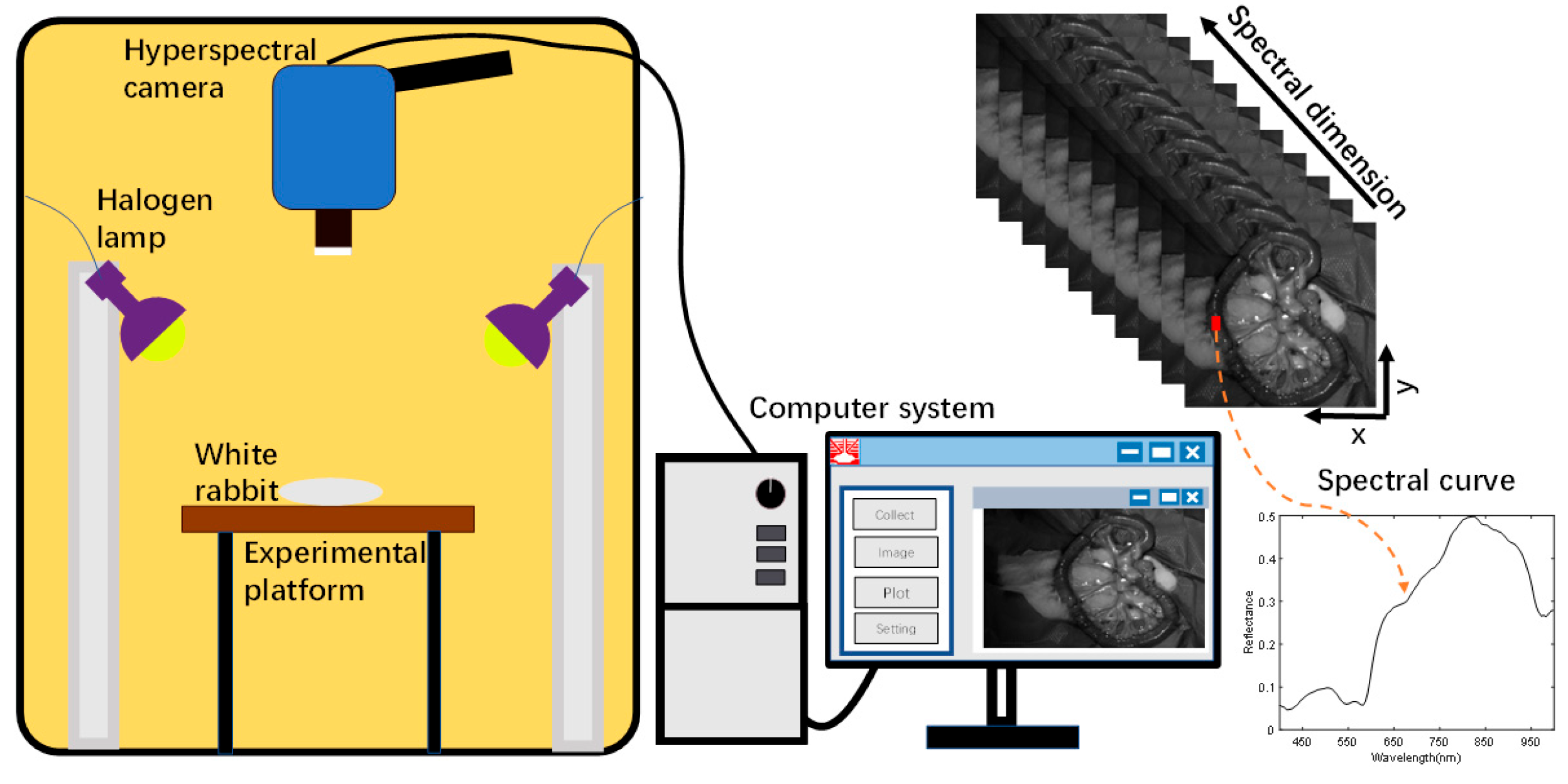 Photonics 10 00708 g003 Photonics 10 00708 g003