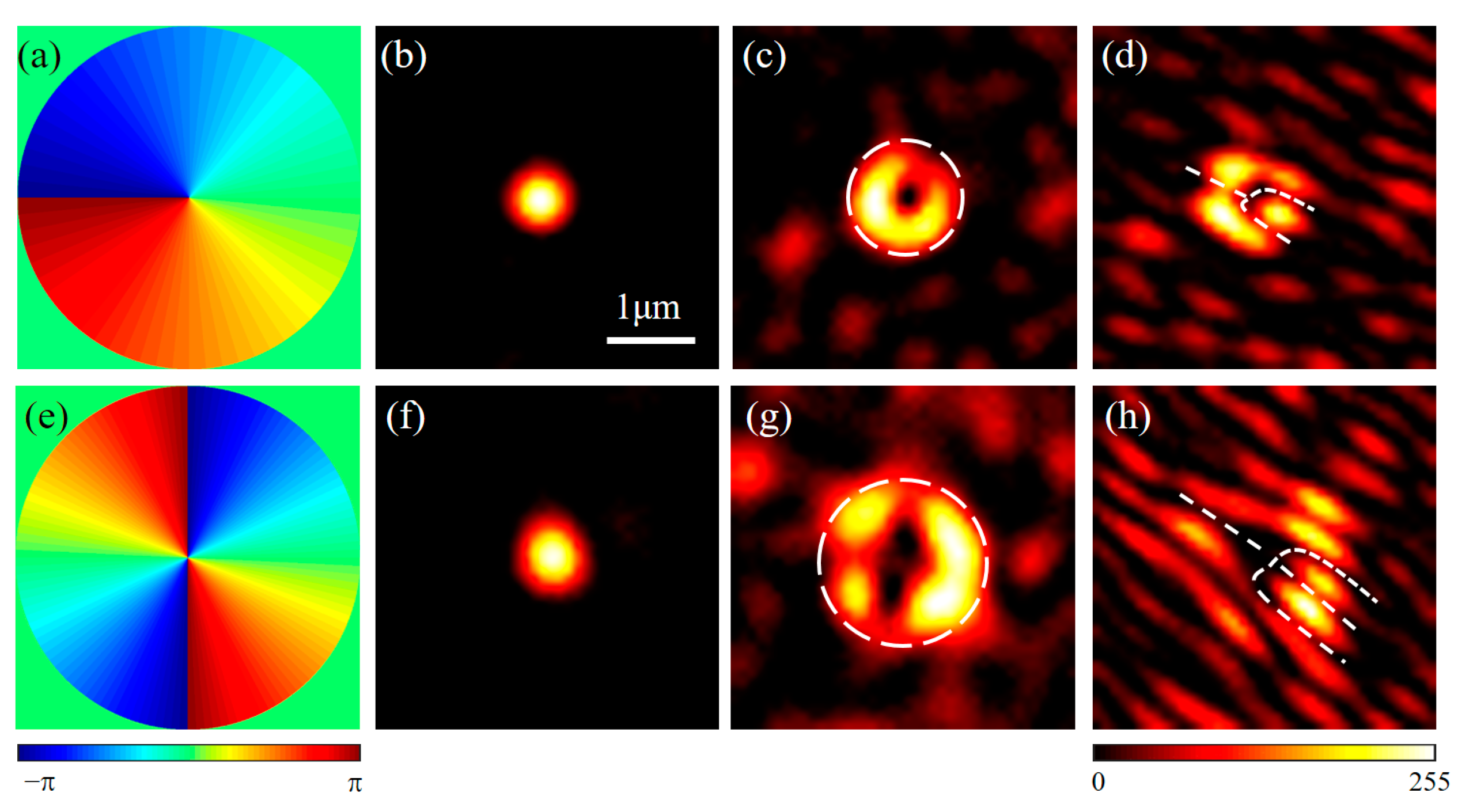 Photonics 10 00737 g005