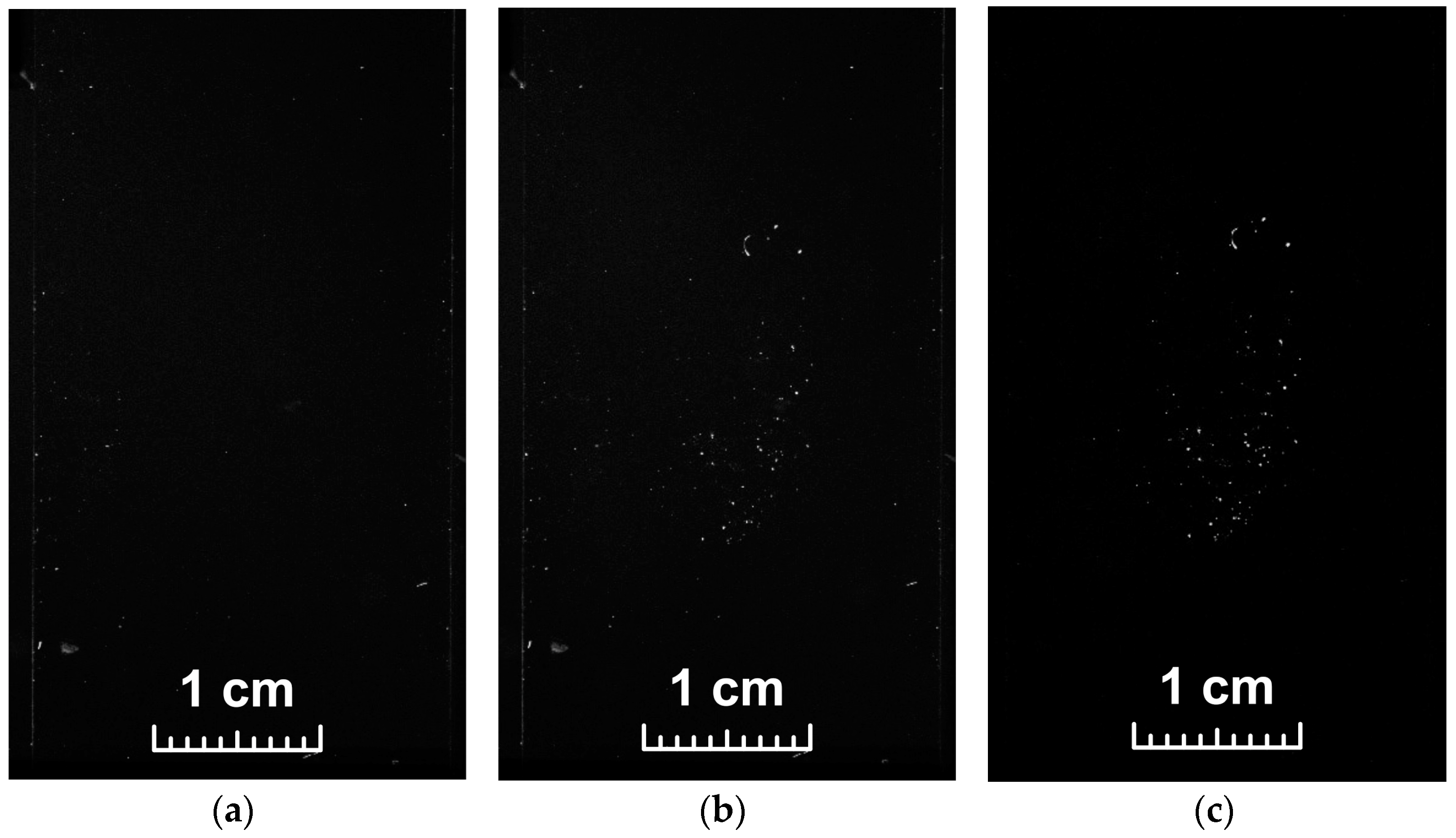 Photonics 10 00740 g002 550