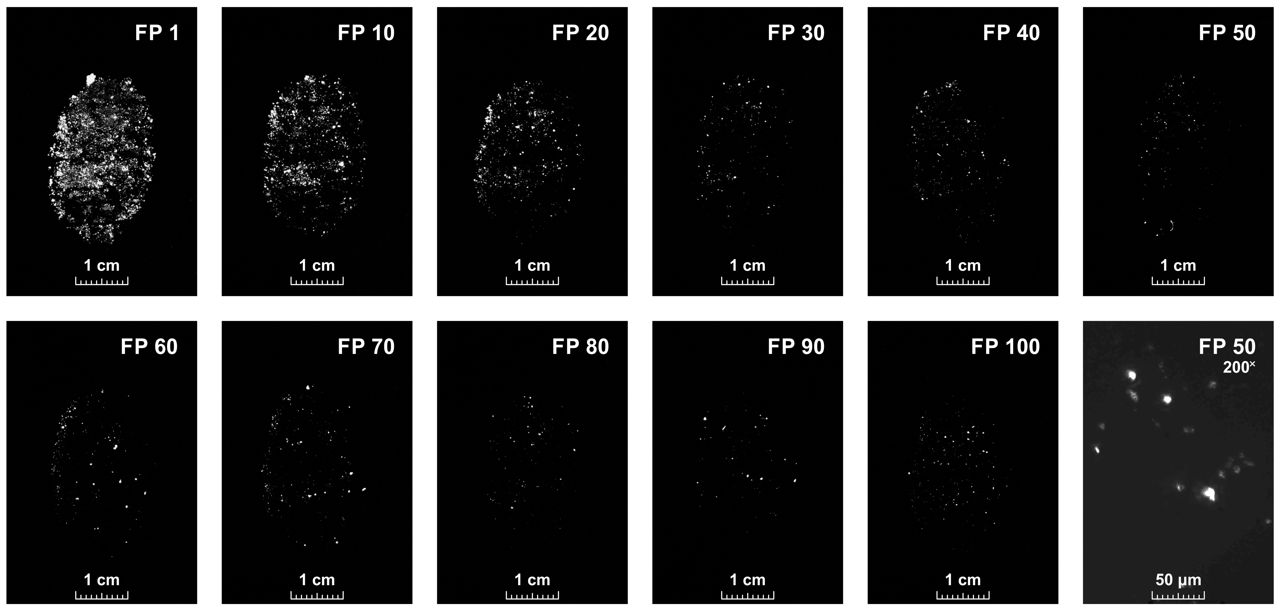 Photonics 10 00740 g003 550