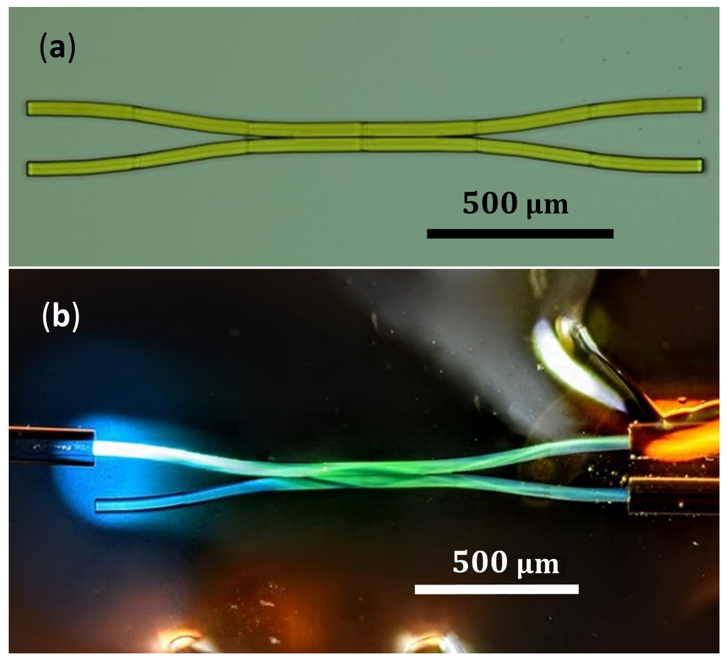 Photonics 10 00755 g004