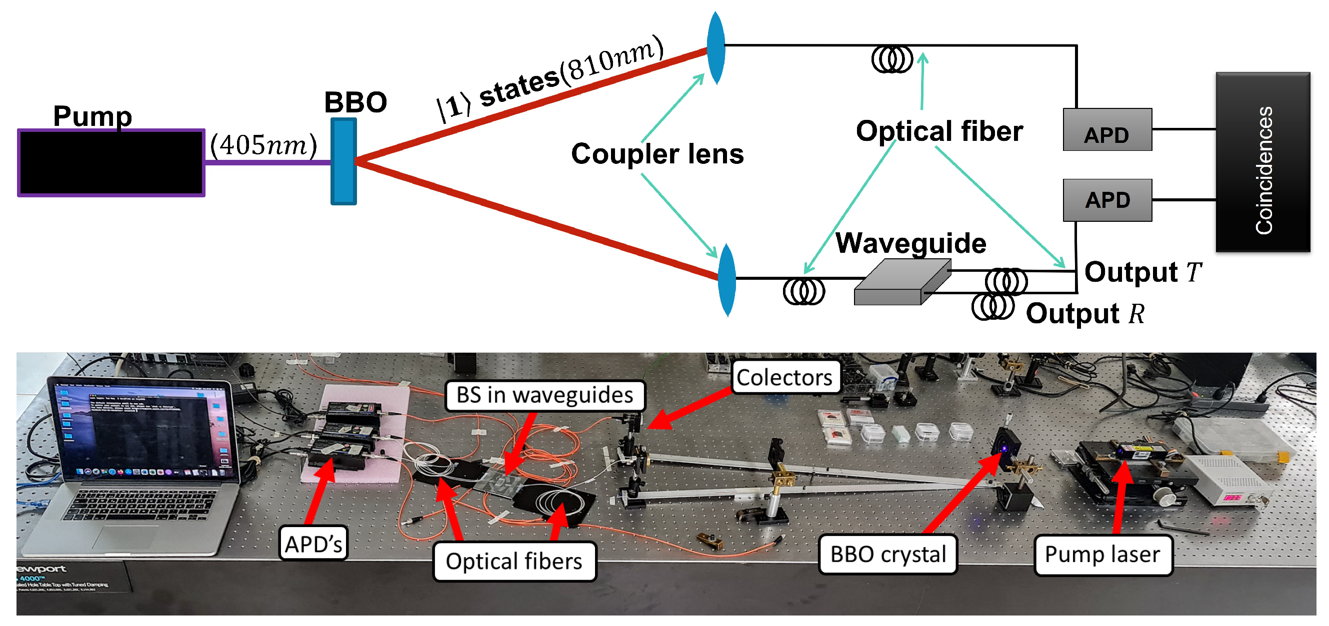 Photonics 10 00755 g008