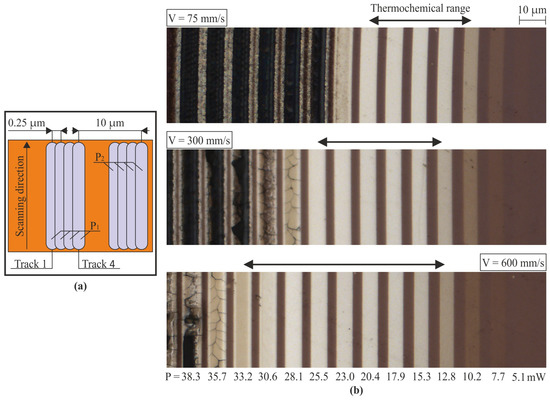 Direct Laser Writing of Diffractive Structures on Bi-Layer