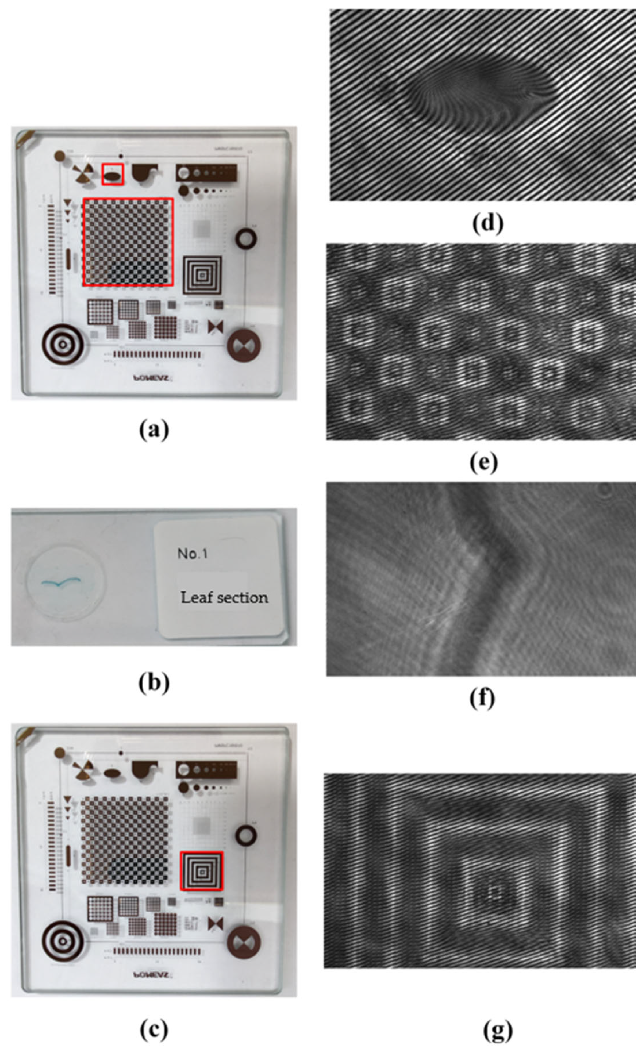 Photonics 10 00790 g003
