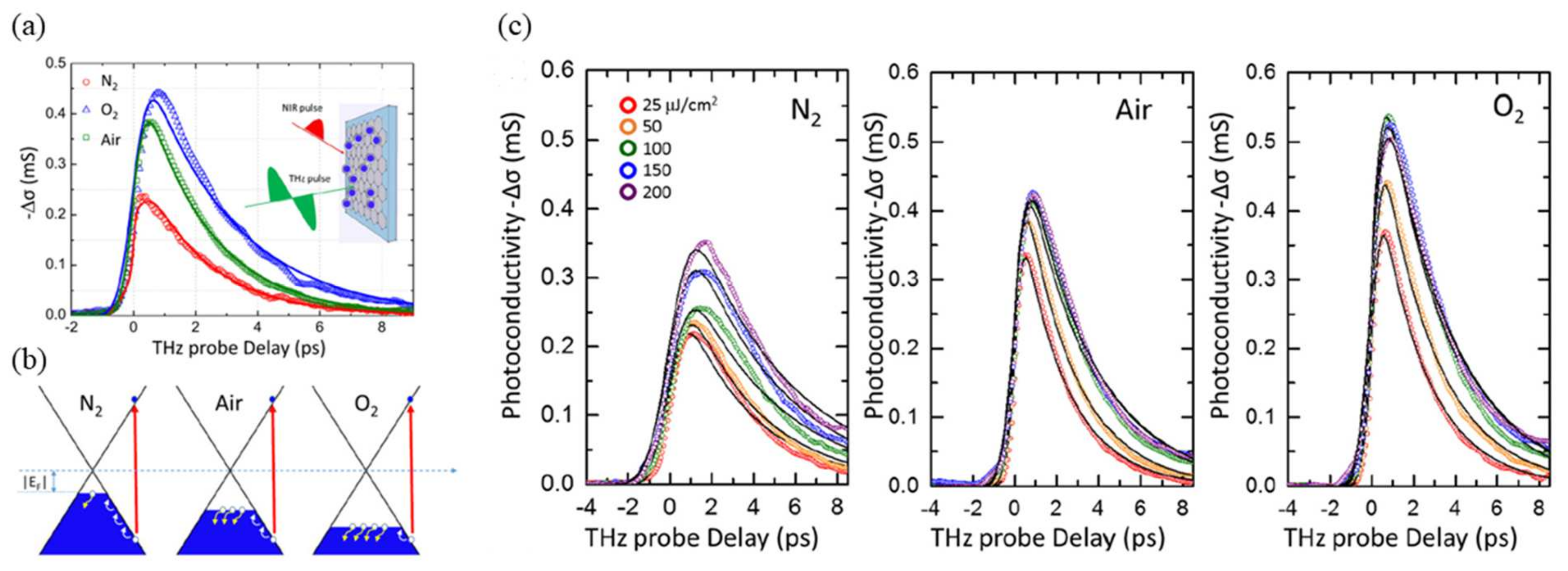 Photonics 10 00810 g004 Photonics 10 00810 g004