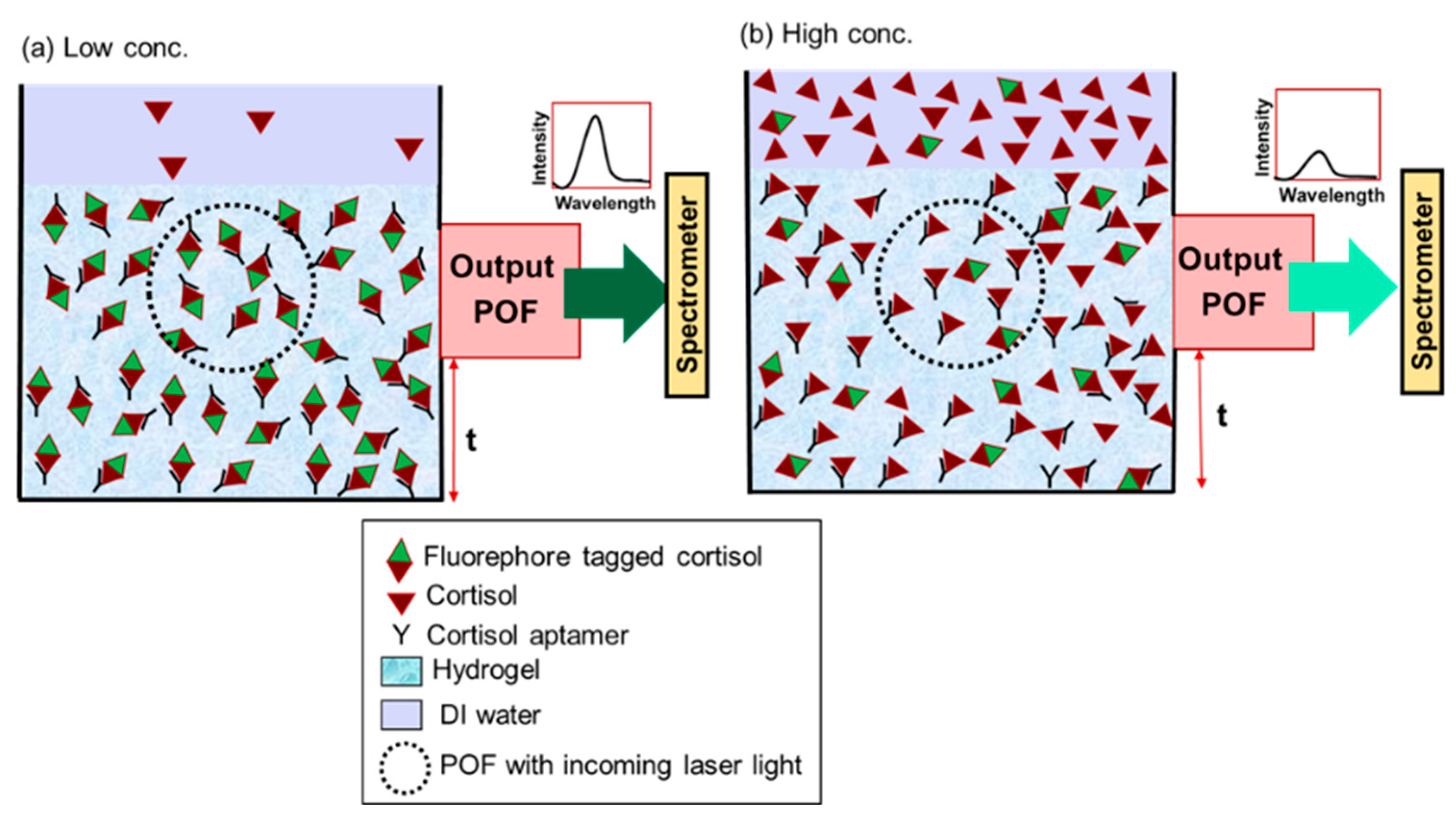 Photonics 10 00840 g001
