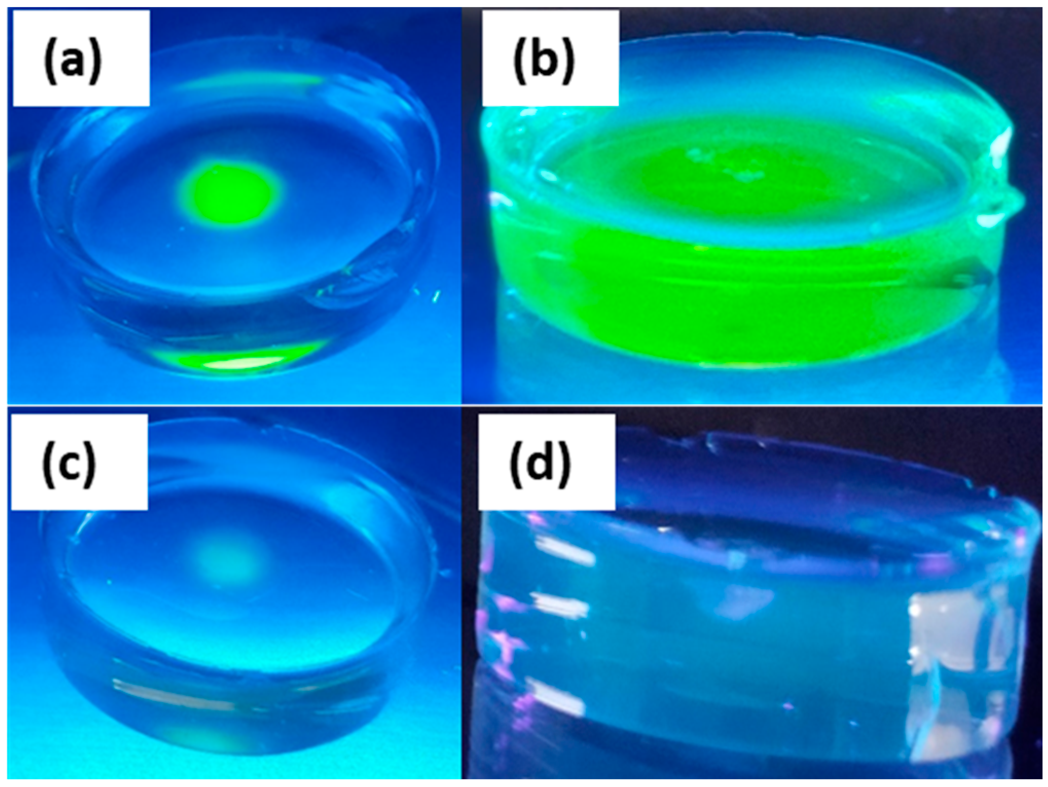 Photonics 10 00840 g003