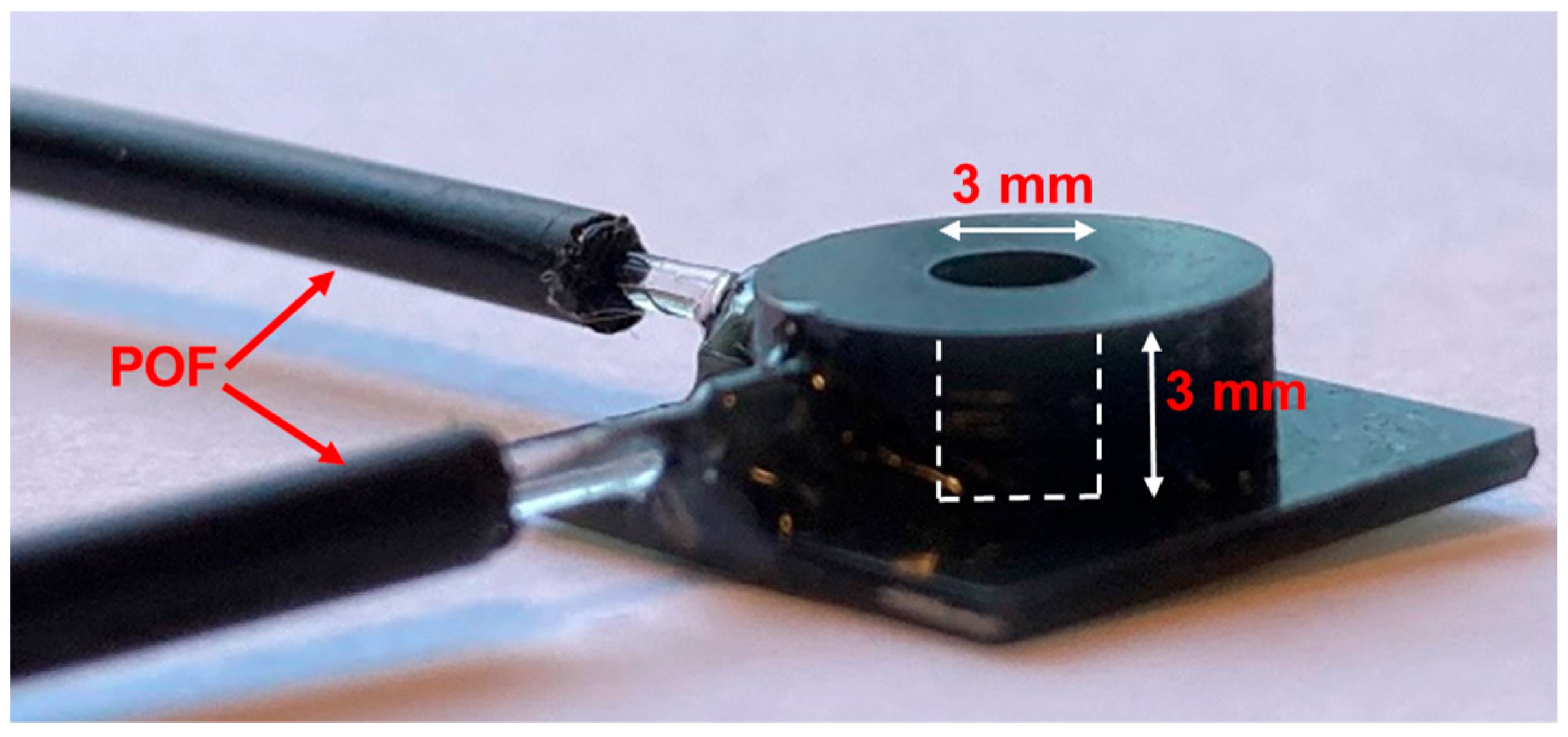 Photonics 10 00840 g005