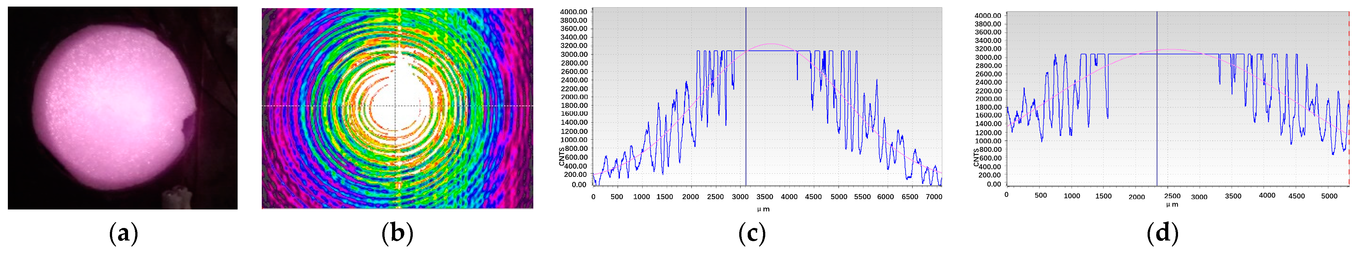 Photonics 10 00844 g017 550