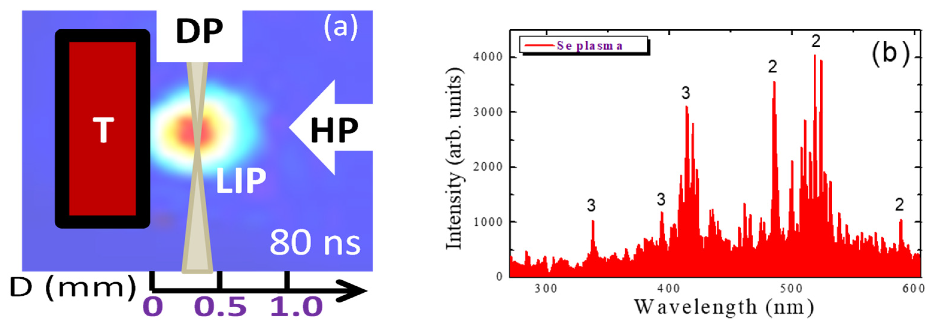 Photonics 10 00854 g002