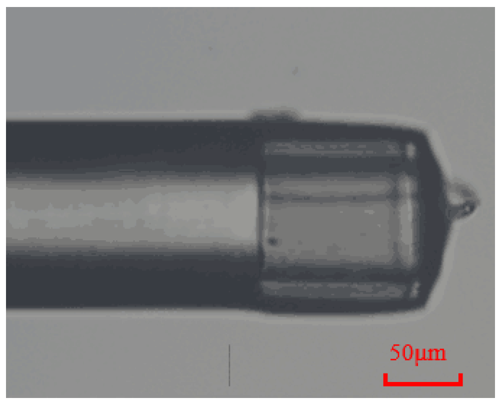 Photonics 10 00873 g005