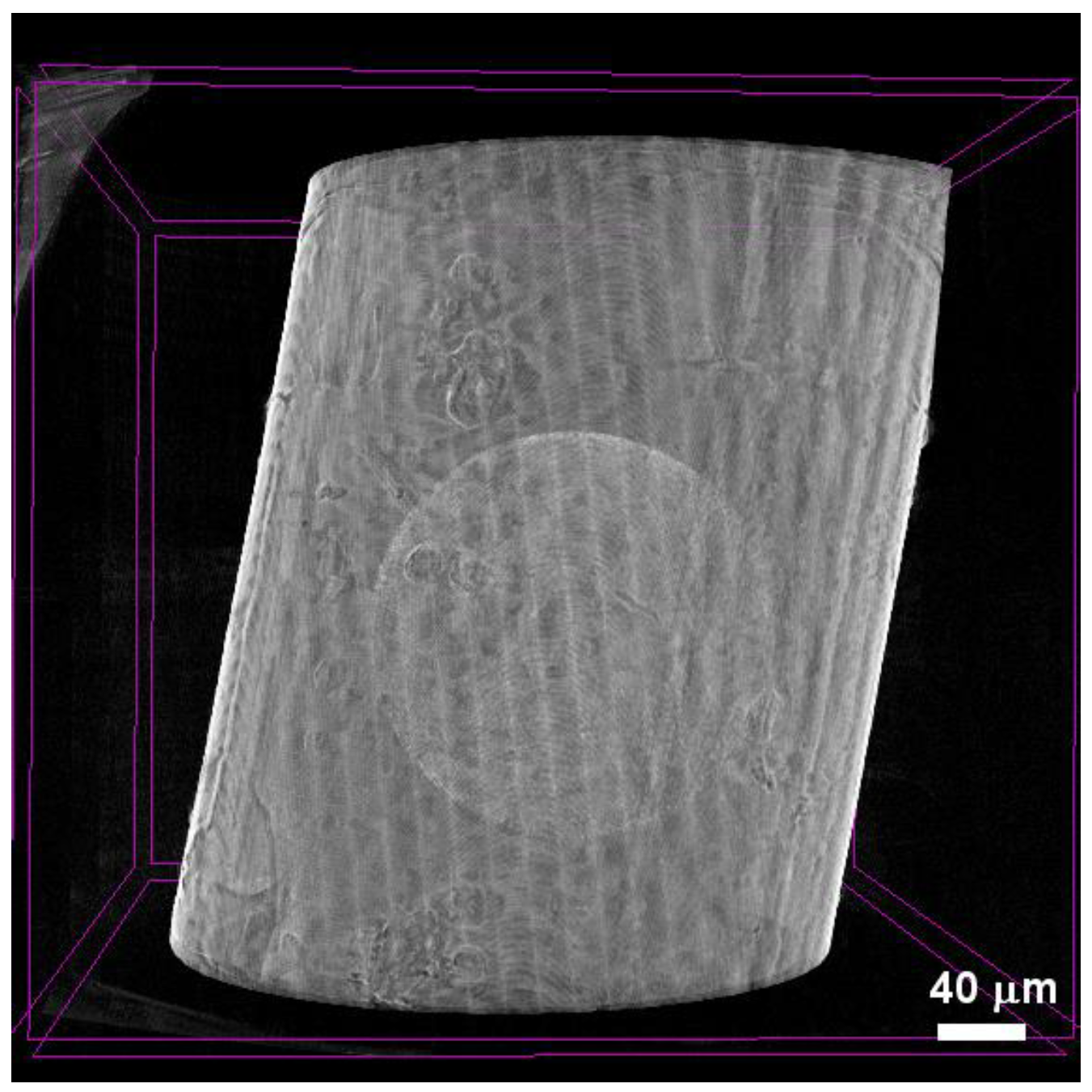 Photonics 10 00875 g001 Photonics 10 00875 g001